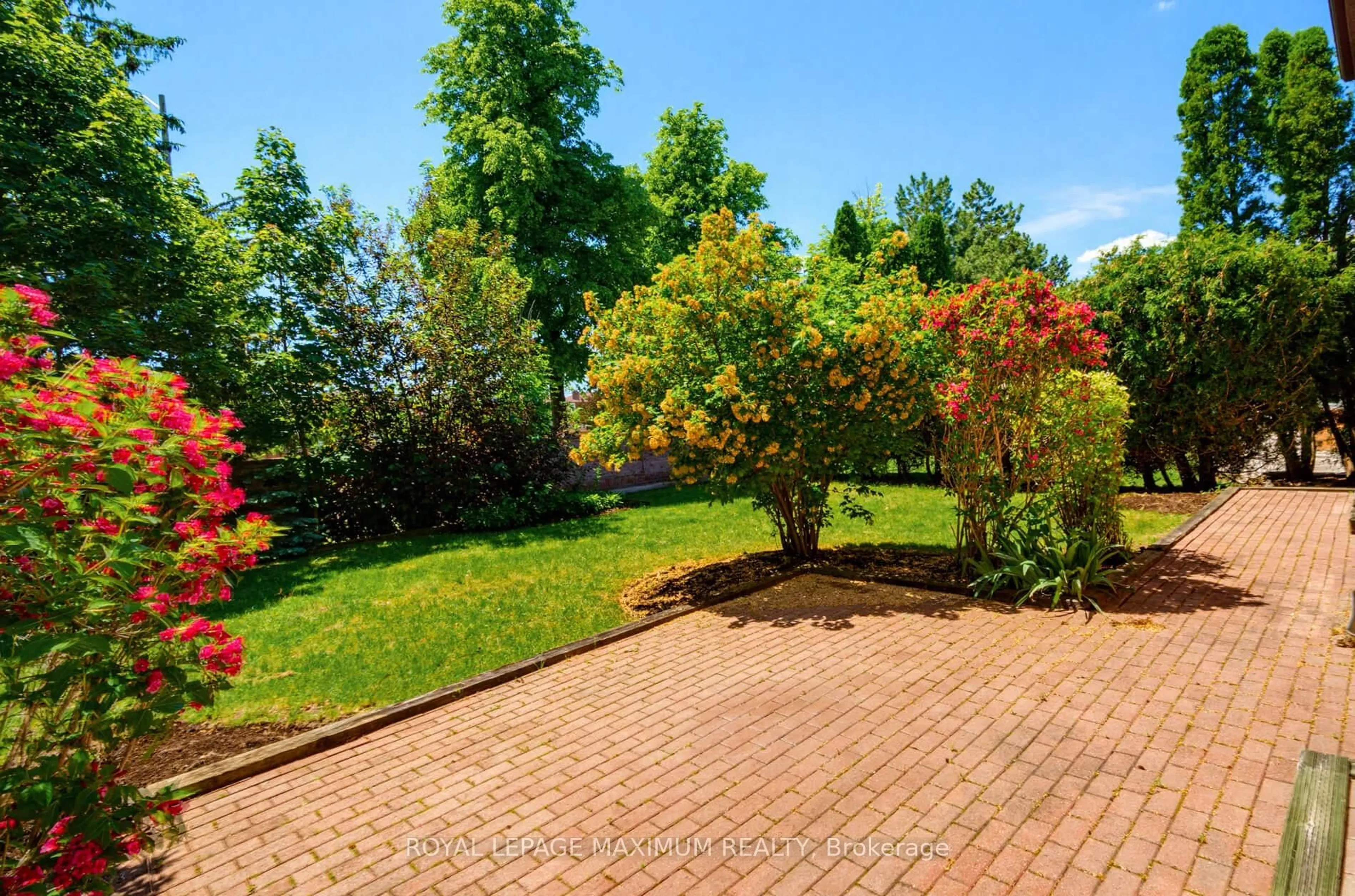 A pic from outside/outdoor area/front of a property/back of a property/a pic from drone, forest/trees view for 91 Wilshire Blvd, Vaughan Ontario L4L 6X3