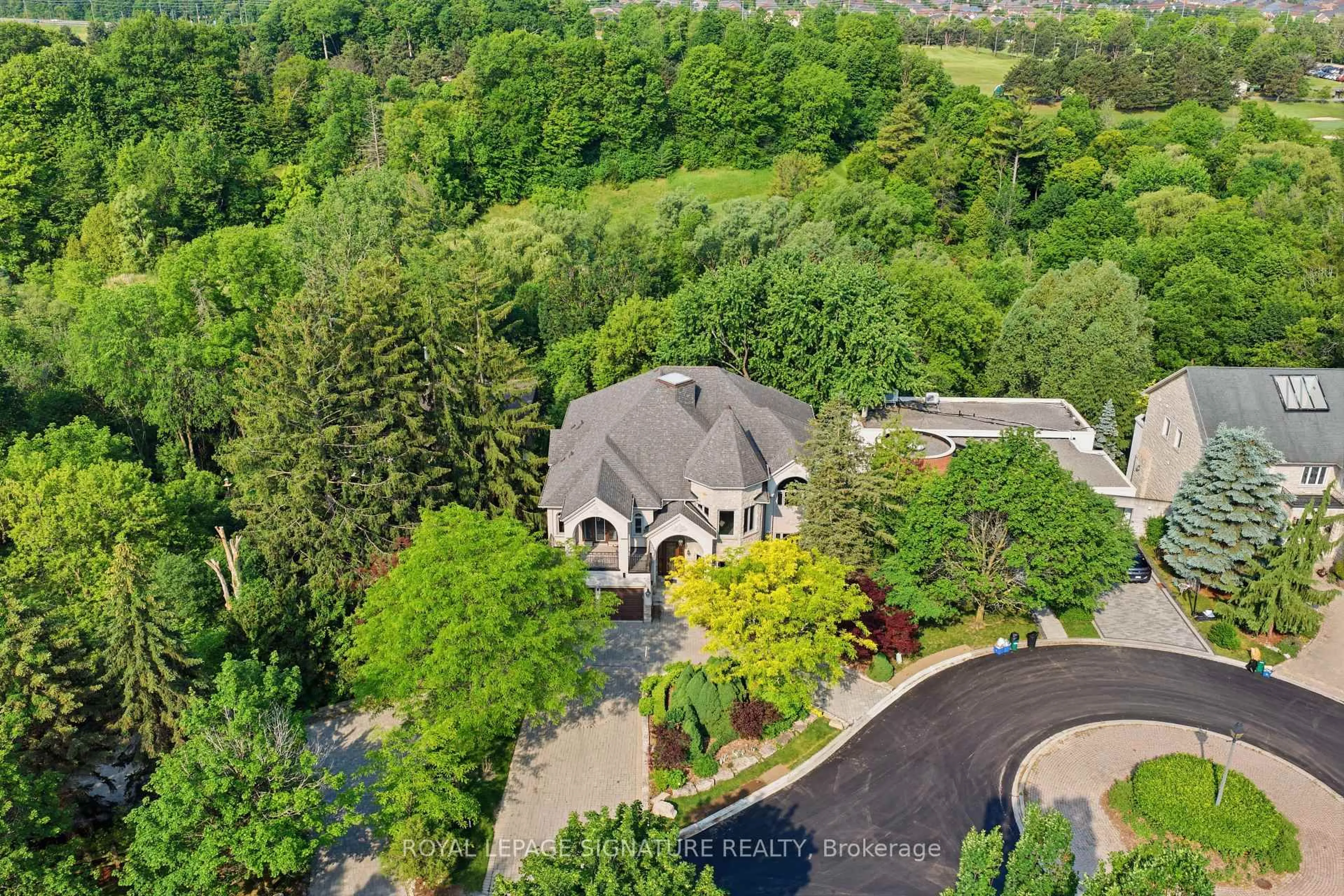 A pic from outside/outdoor area/front of a property/back of a property/a pic from drone, unknown for 217 Garden Ave, Richmond Hill Ontario L4C 6L8