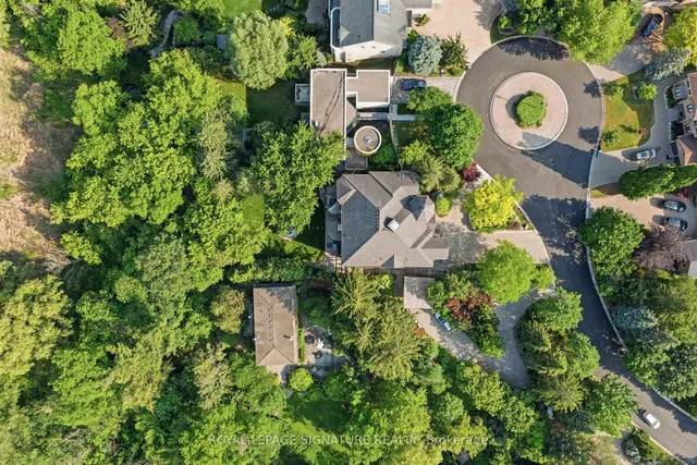 217 Garden Ave, Richmond Hill 3