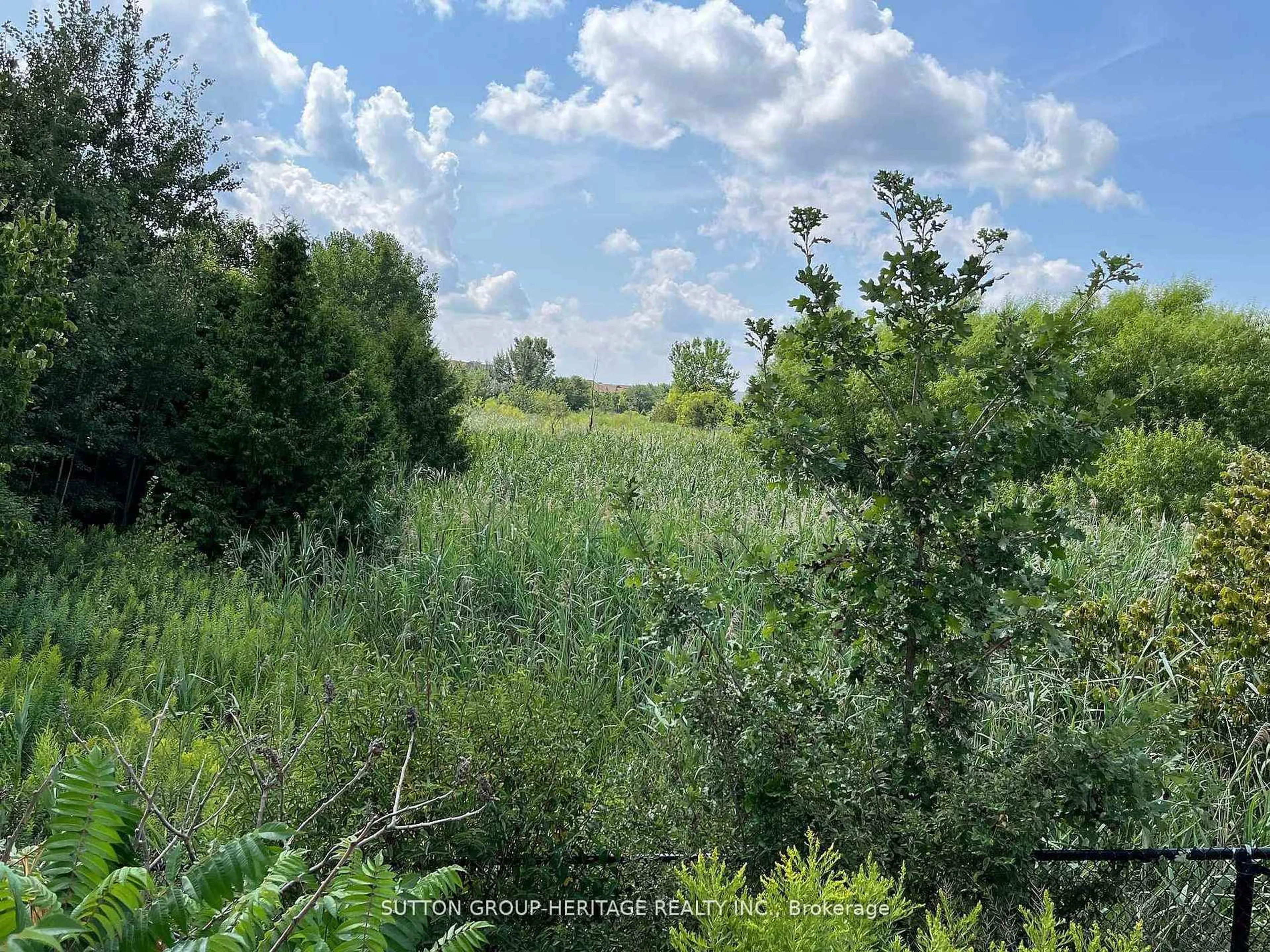 A pic from outside/outdoor area/front of a property/back of a property/a pic from drone, forest/trees view for 28 Prince Regent St #123, Markham Ontario L6C 0V5