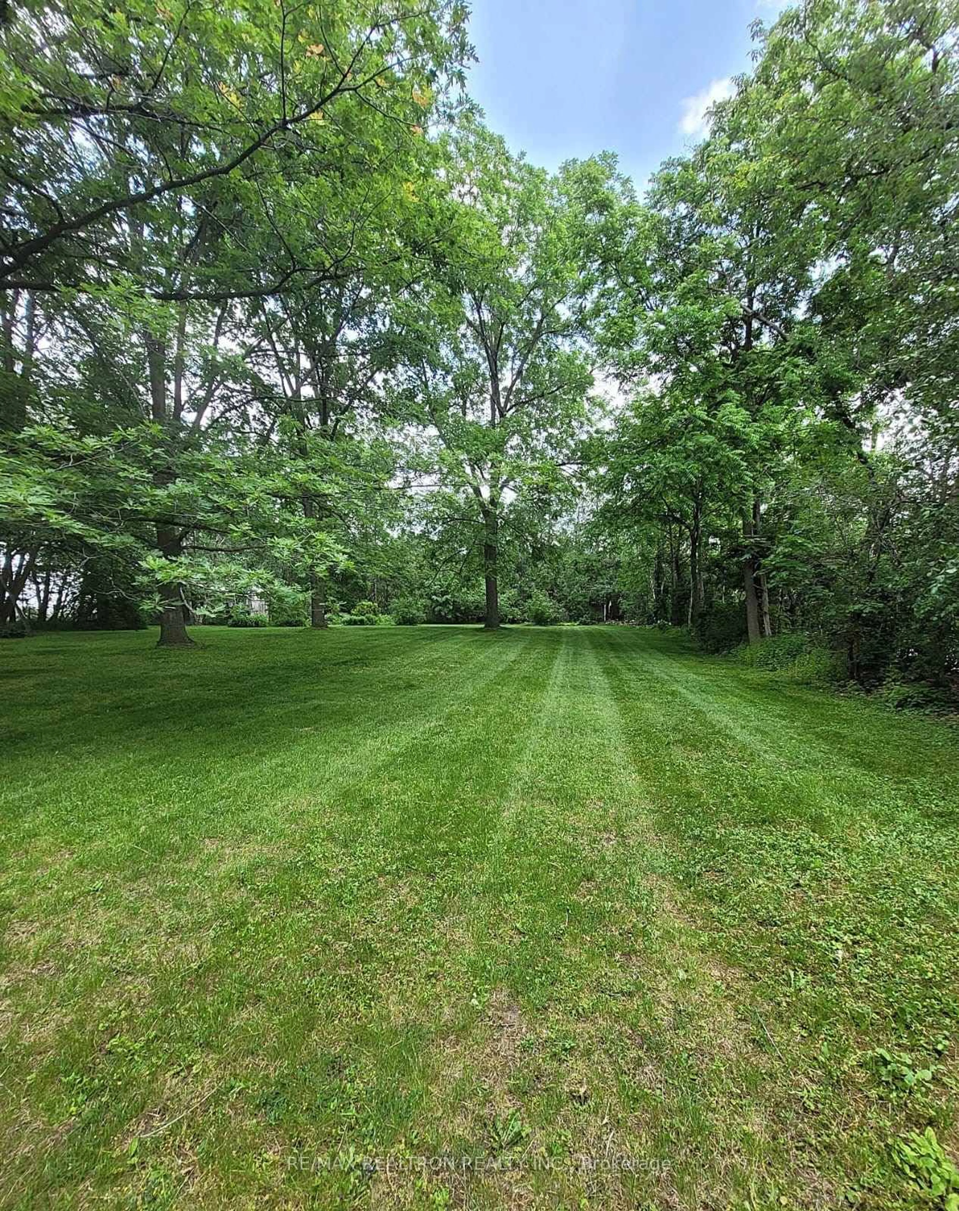 A pic from outside/outdoor area/front of a property/back of a property/a pic from drone, forest/trees view for 5 Farmer Crt, Richmond Hill Ontario L4E 1A2