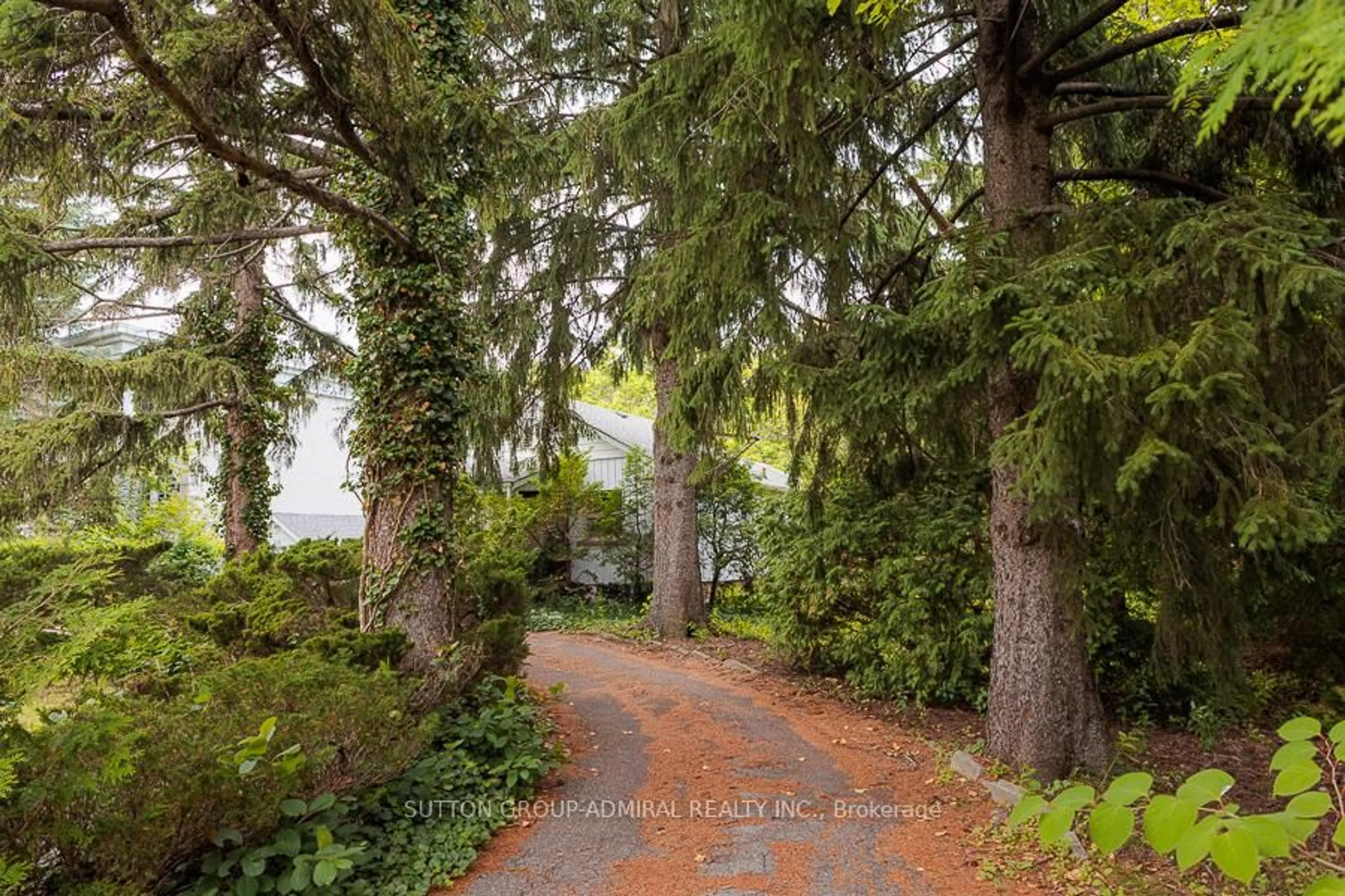 Patio, forest/trees view for 60 Arnold Ave, Vaughan Ontario L4J 1B3