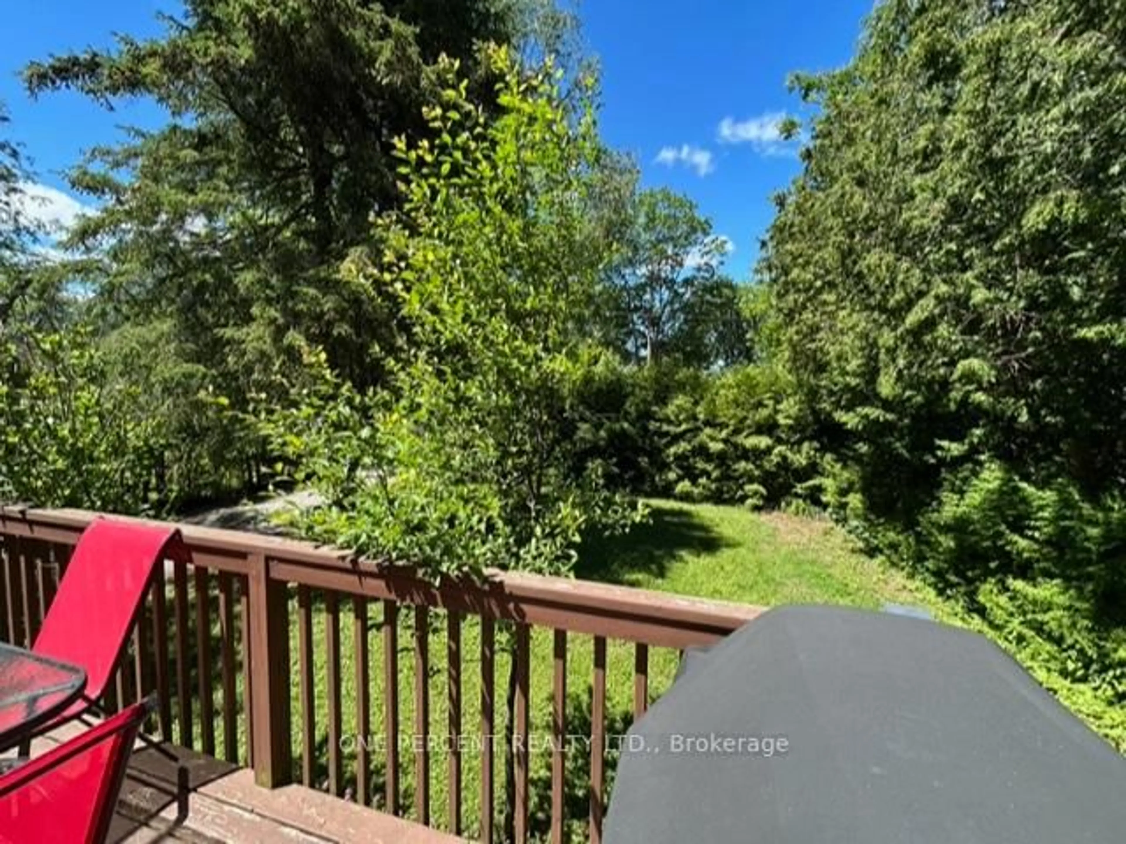 A pic from outside/outdoor area/front of a property/back of a property/a pic from drone, forest/trees view for 781 Rockaway Rd, Georgina Ontario L0E 1S0