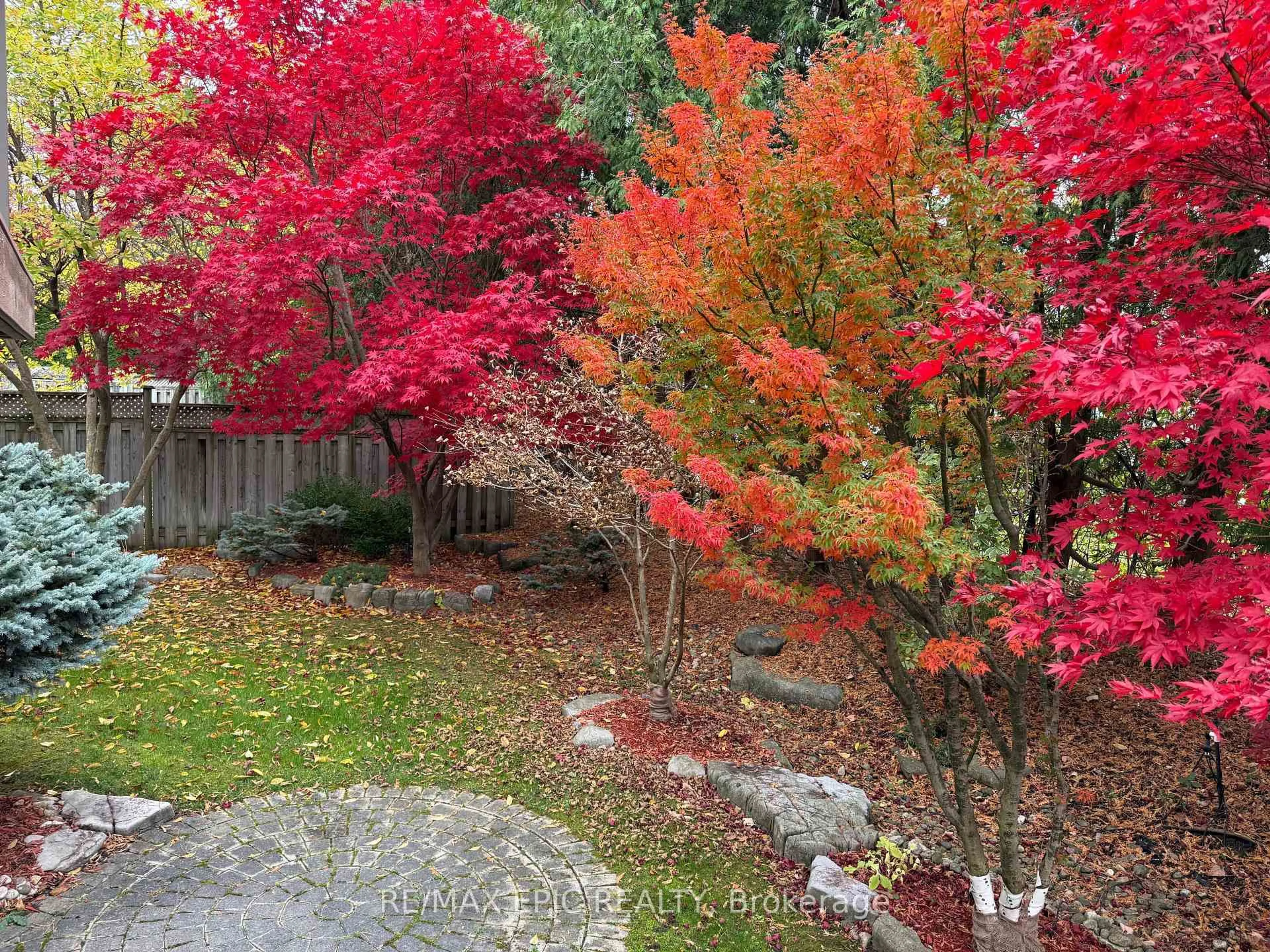 A pic from outside/outdoor area/front of a property/back of a property/a pic from drone, forest/trees view for 11 Palace Crt, Richmond Hill Ontario L4B 4C3