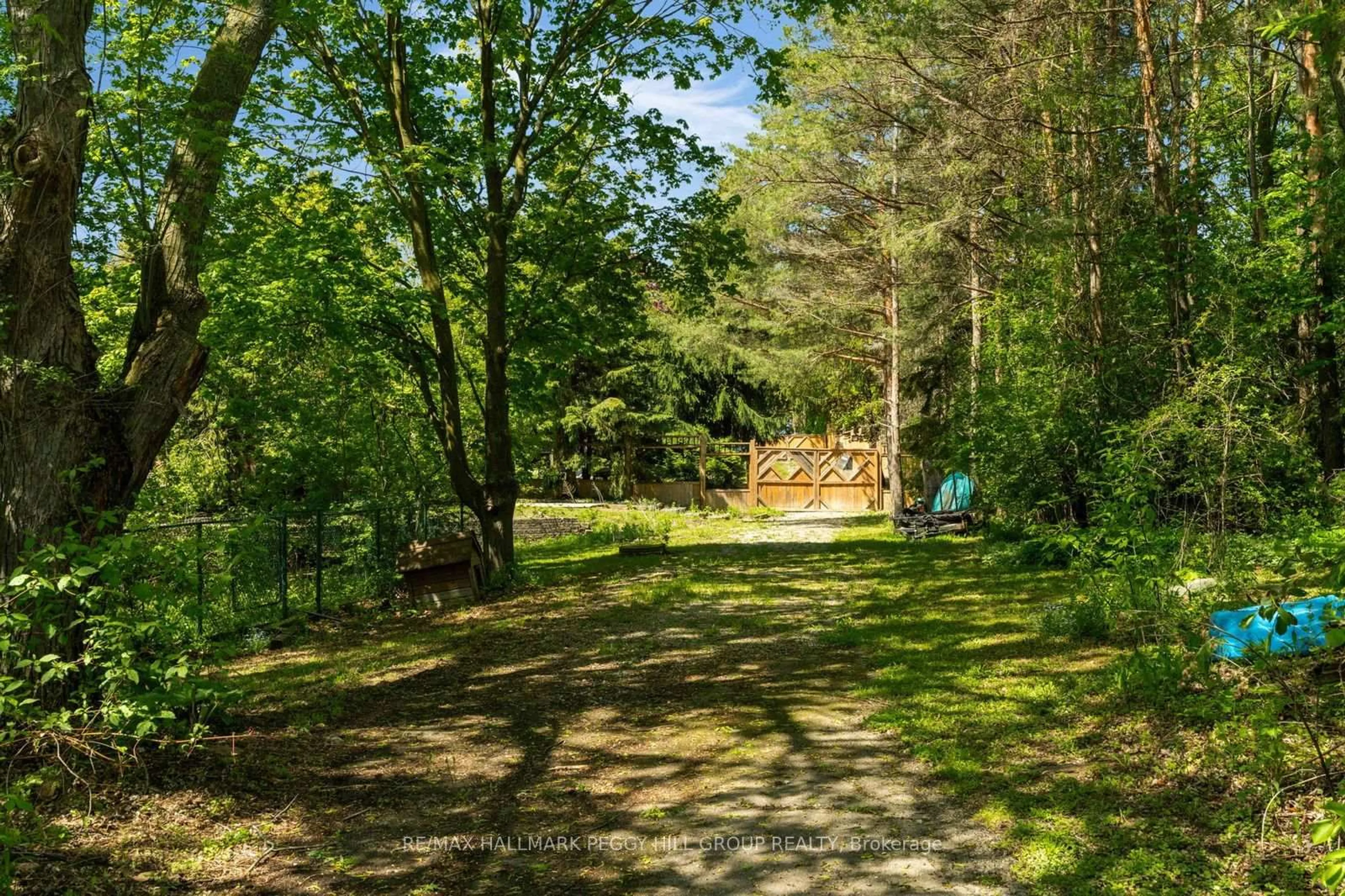 A pic from outside/outdoor area/front of a property/back of a property/a pic from drone, forest/trees view for 2145 18th Sdrd, New Tecumseth Ontario L0G 1W0