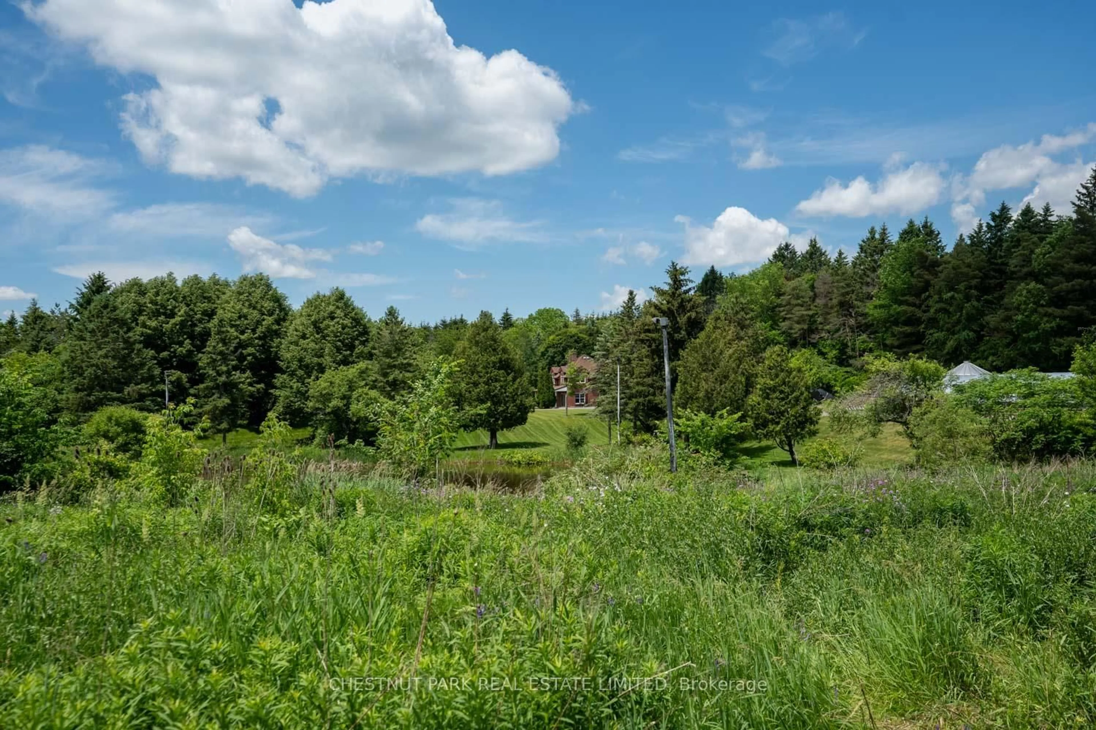 A pic from outside/outdoor area/front of a property/back of a property/a pic from drone, forest/trees view for 15175 Keele St, King Ontario L7B 1A3