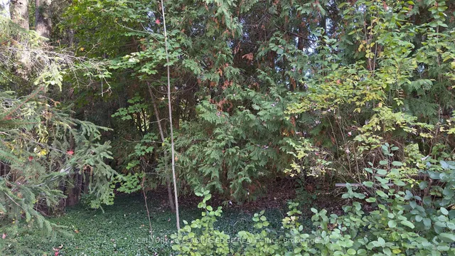 117 WESTWOOD Lane, Richmond Hill 3