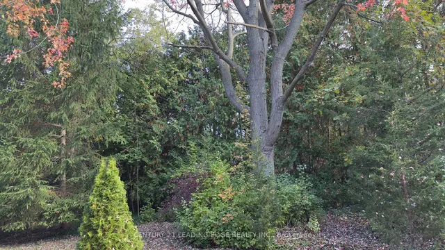 117 WESTWOOD Lane, Richmond Hill 4