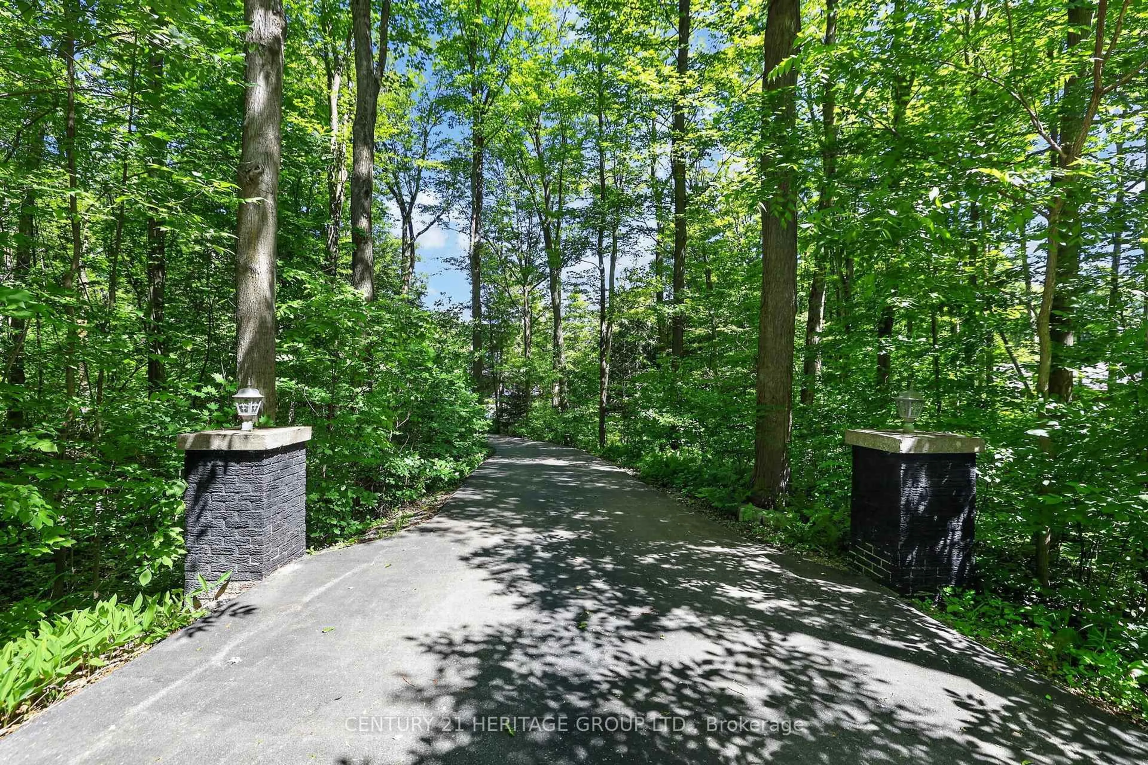 Patio, forest/trees view for 4074 St. John's Sdrd, Whitchurch-Stouffville Ontario L4A 2T7