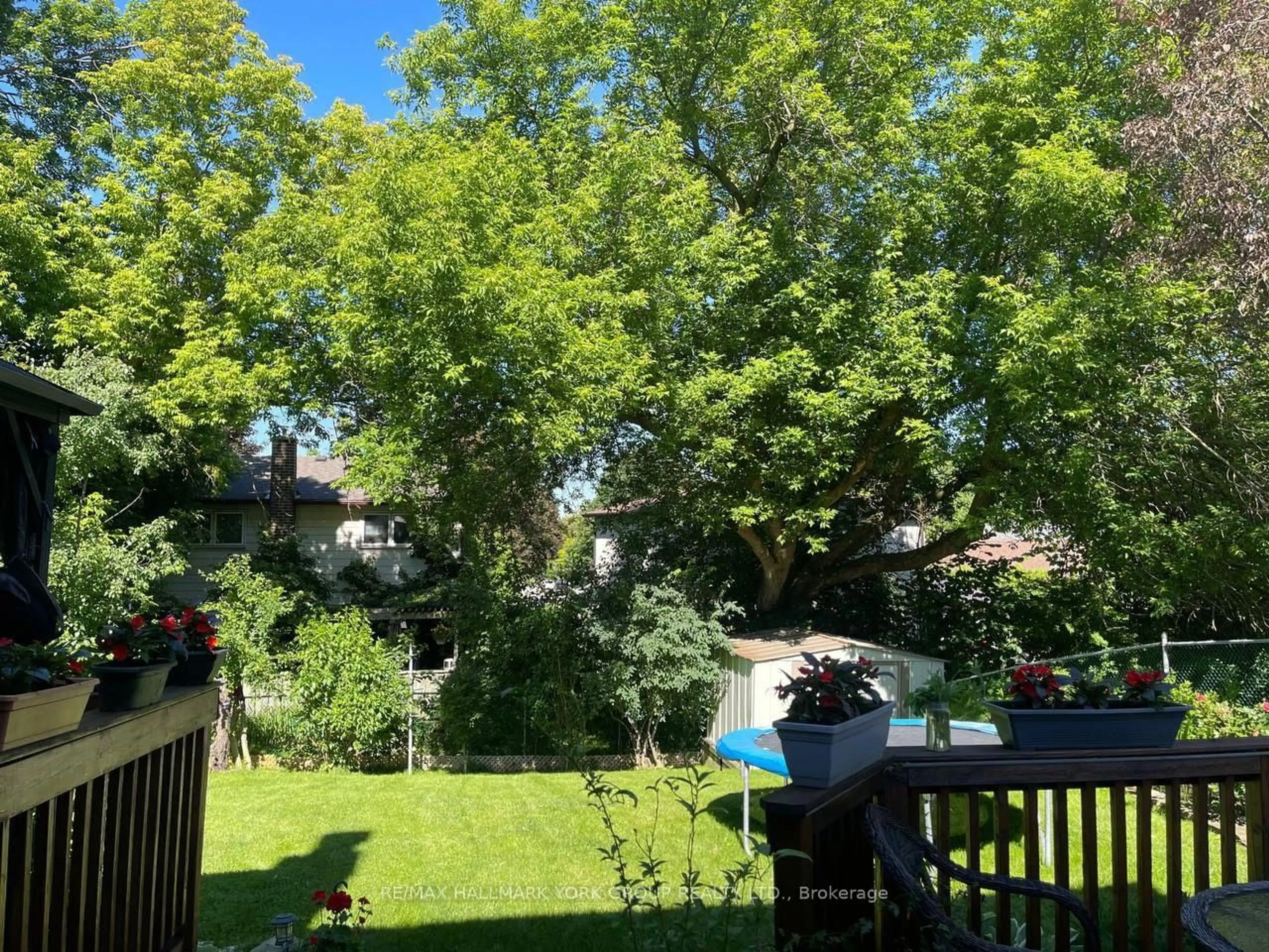 A pic from outside/outdoor area/front of a property/back of a property/a pic from drone, forest/trees view for 459 Sandford St, Newmarket Ontario L3Y 4S8