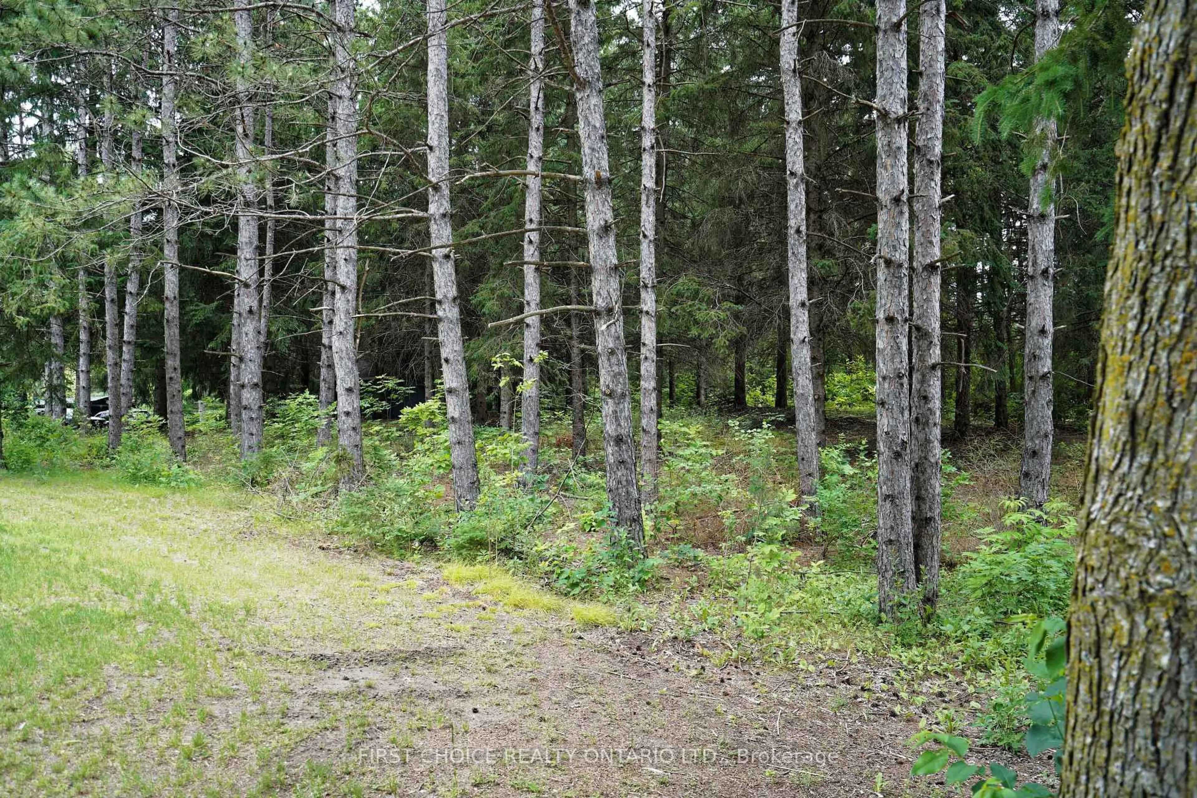 Unknown for 1890 Concession Rd 7 Concession, Adjala-Tosorontio Ontario L0G 1W0