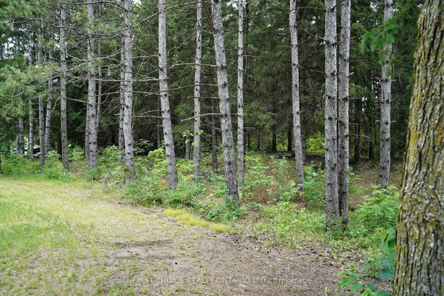 1890 Concession Rd 7 Concession, Adjala-Tosorontio 3