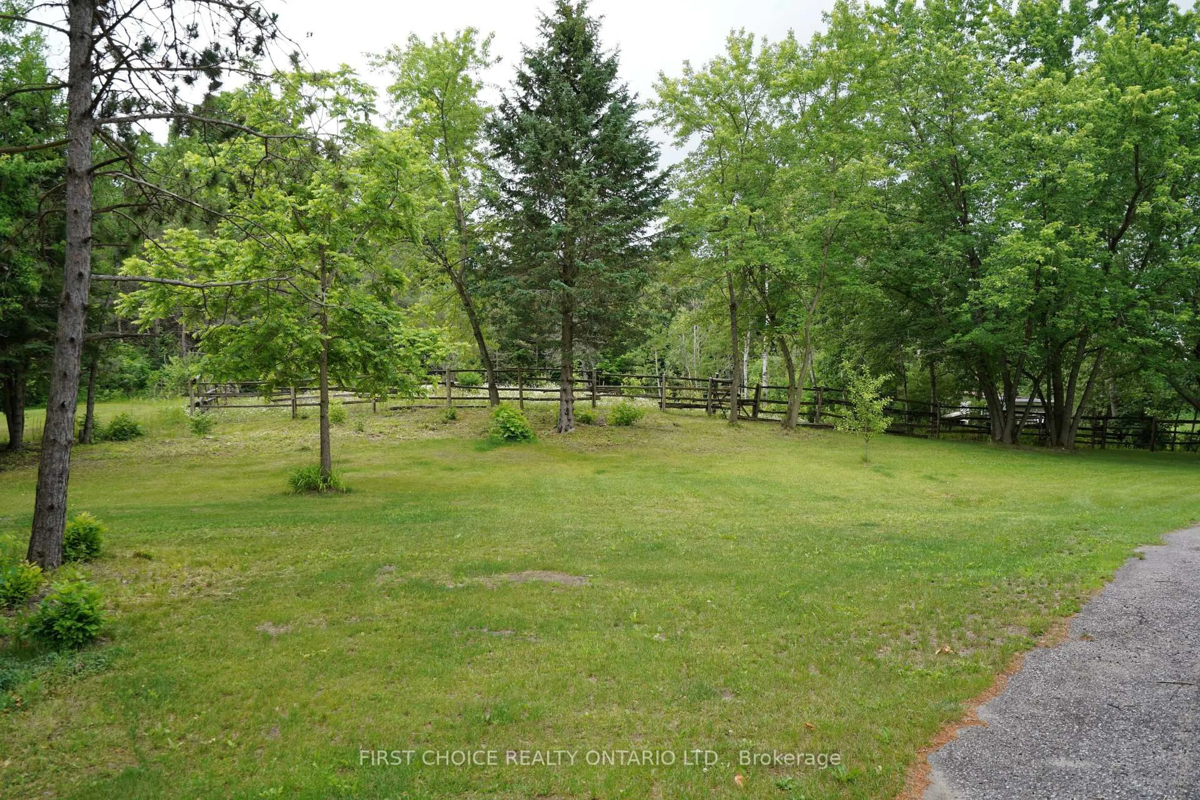 Patio, forest/trees view for 1890 Concession Rd 7 Concession, Adjala-Tosorontio Ontario L0G 1W0