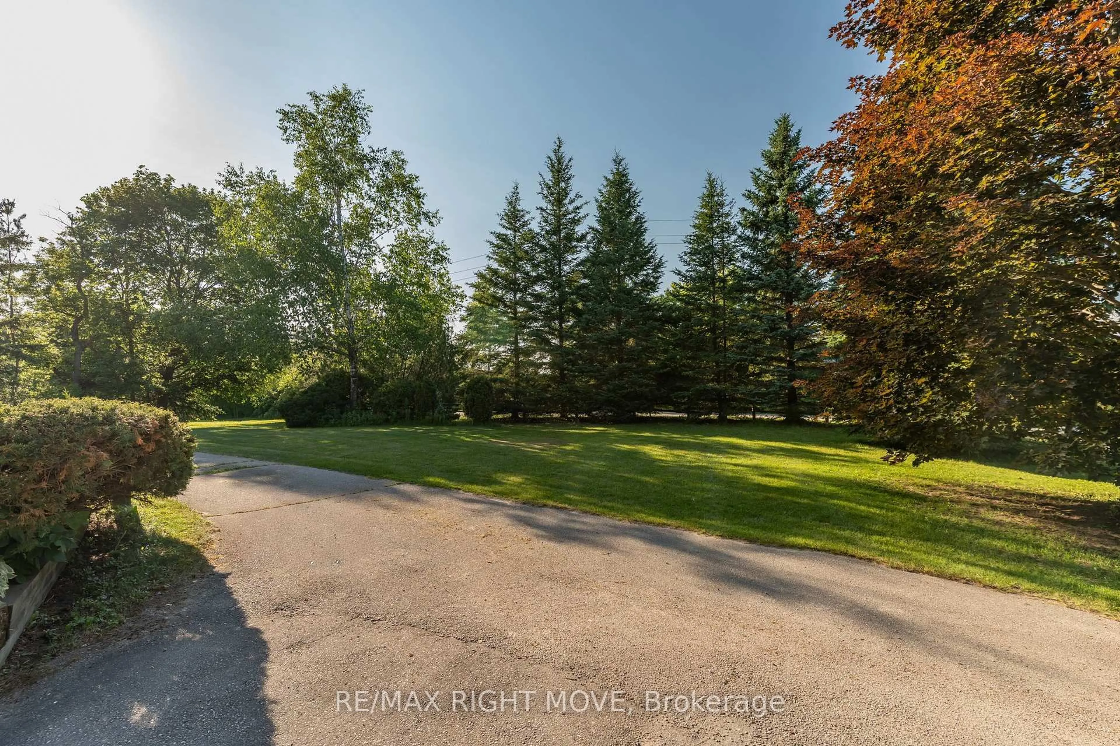 A pic from outside/outdoor area/front of a property/back of a property/a pic from drone, forest/trees view for 590 Scugog 12 Line, Uxbridge Ontario L9P 1R3