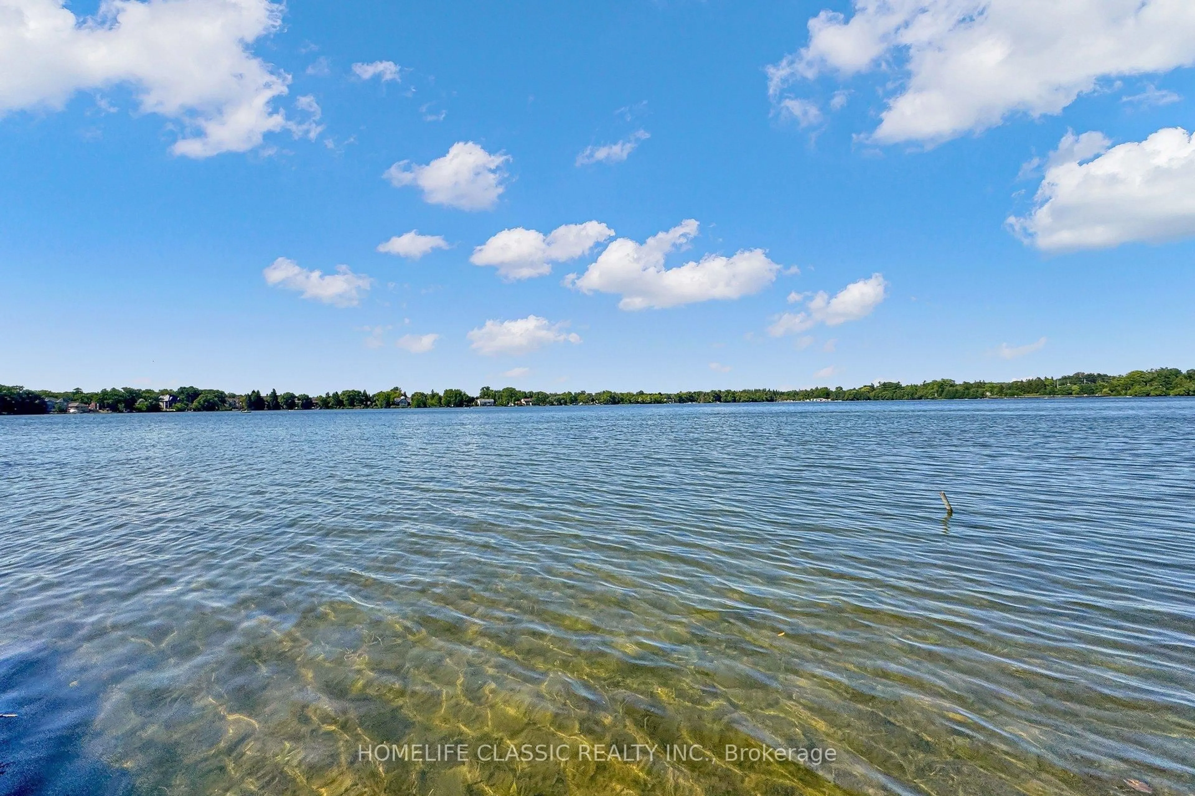 Pool for 472 Sunset Beach Rd, Richmond Hill Ontario L4E 3J2