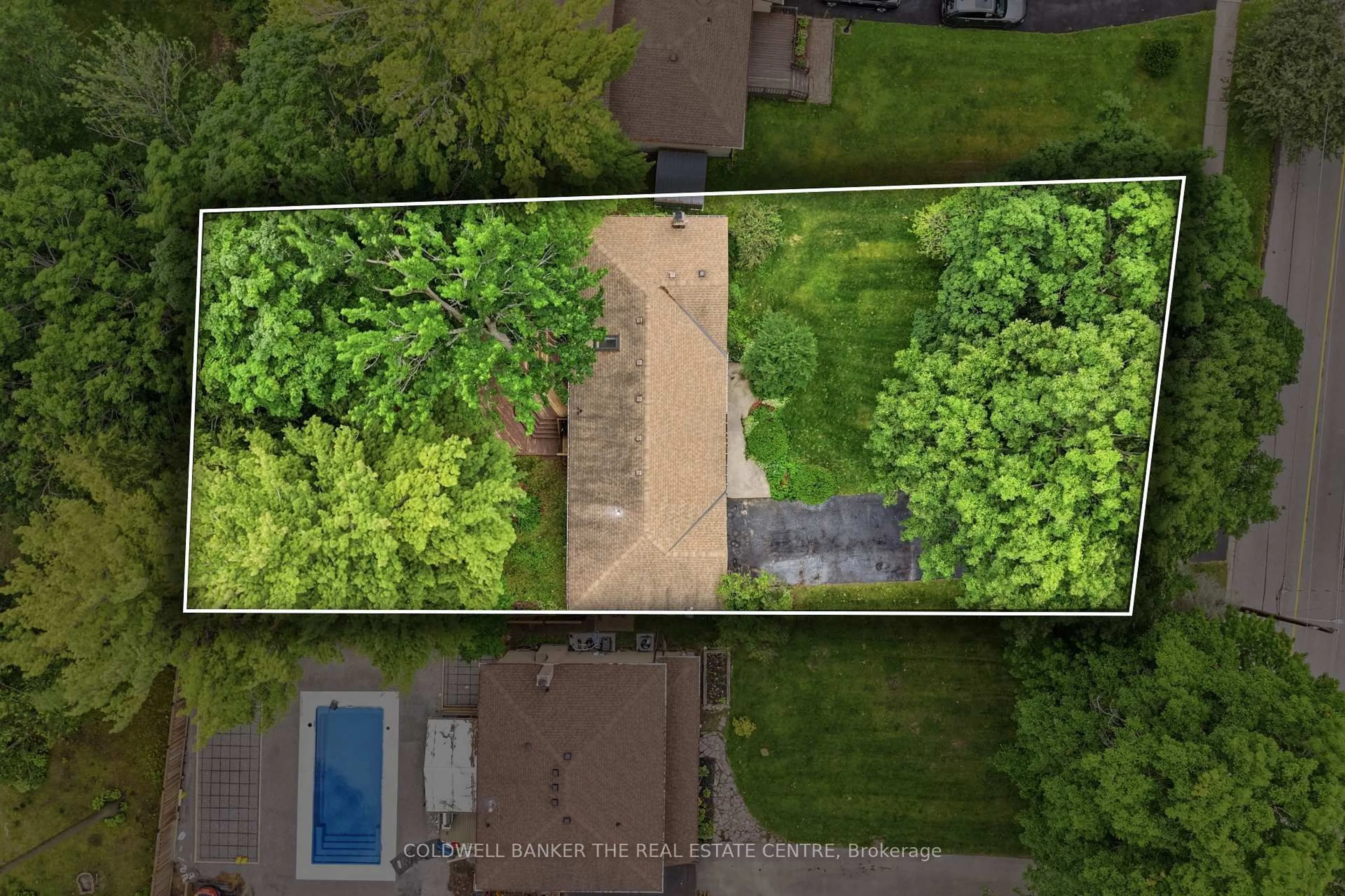 A pic from outside/outdoor area/front of a property/back of a property/a pic from drone, forest/trees view for 143 Park Ave, East Gwillimbury Ontario L9N 1J1