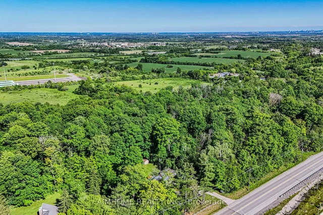 12827 Leslie St, Richmond Hill 5