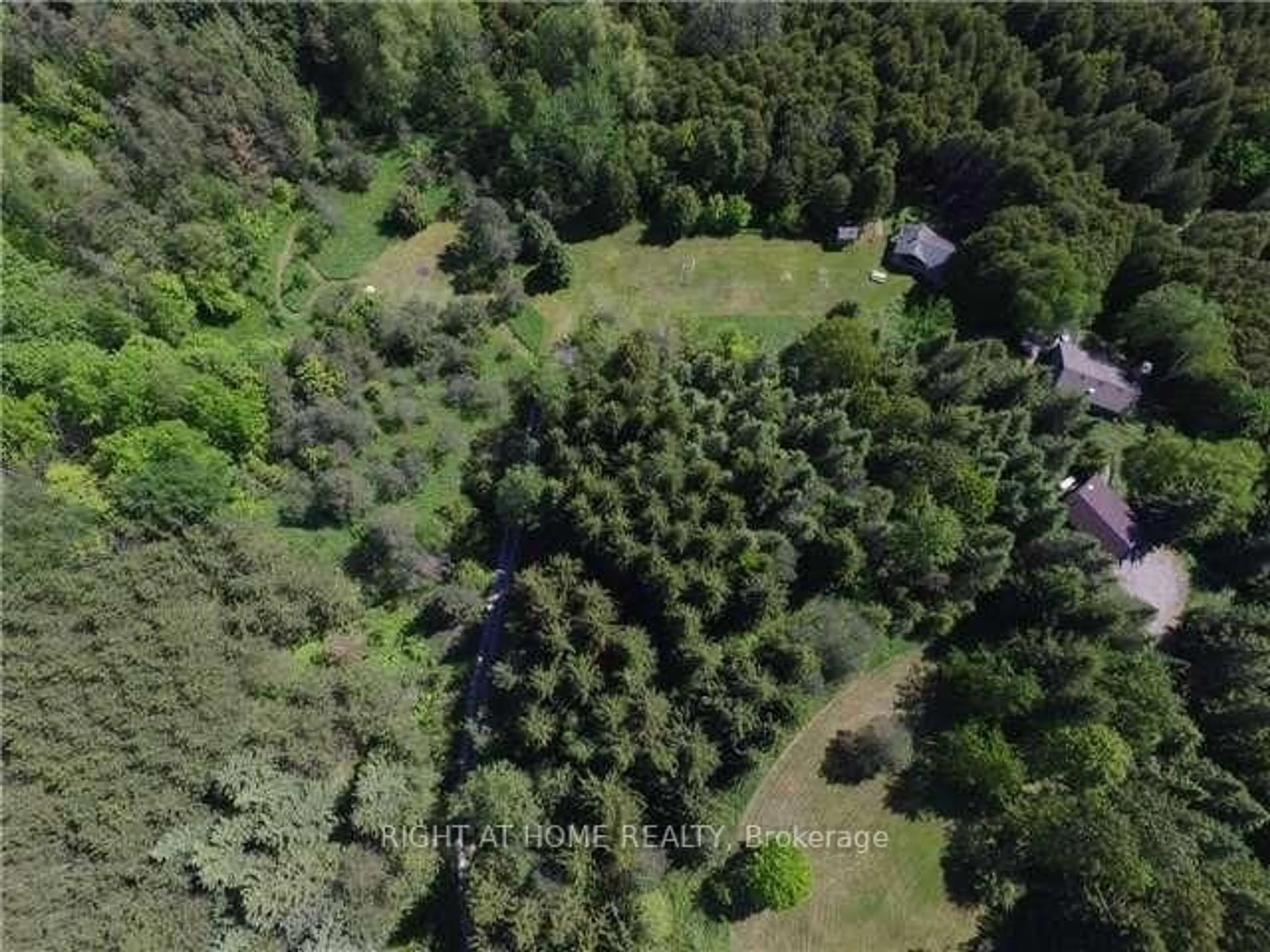 A pic from outside/outdoor area/front of a property/back of a property/a pic from drone, forest/trees view for 2644 Herald Rd, East Gwillimbury Ontario L0G 1V0