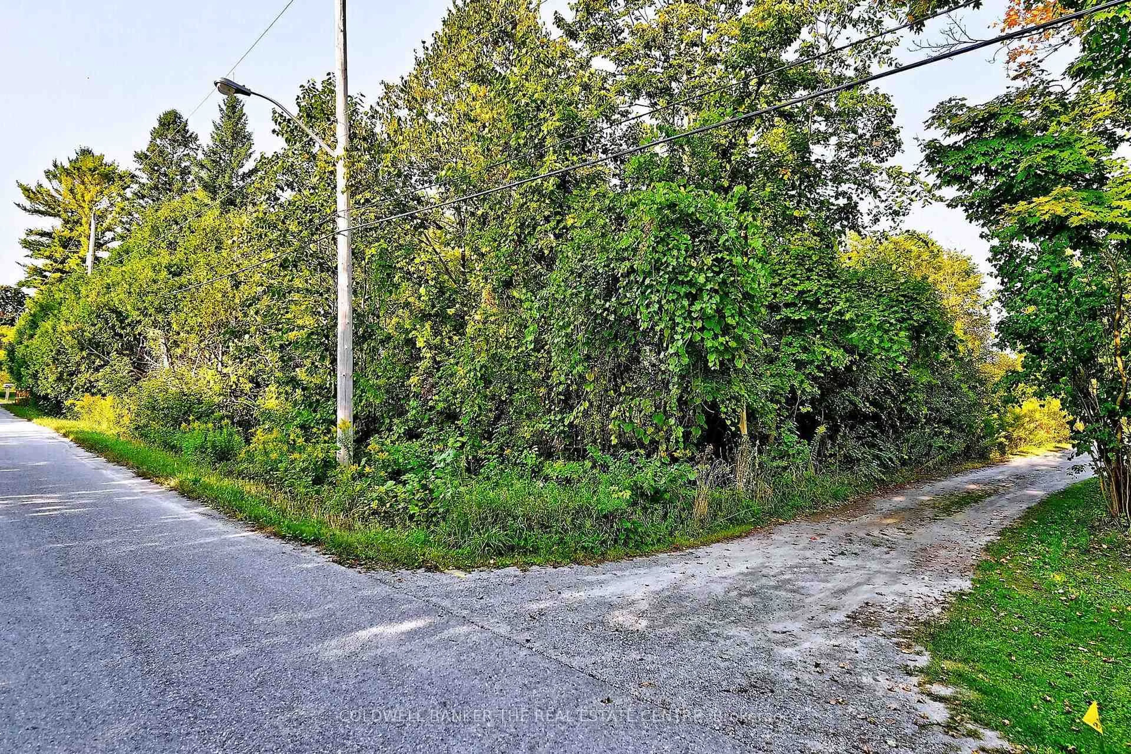 Parking for 20805 Brock Rd, Brock Ontario L0E 1E0
