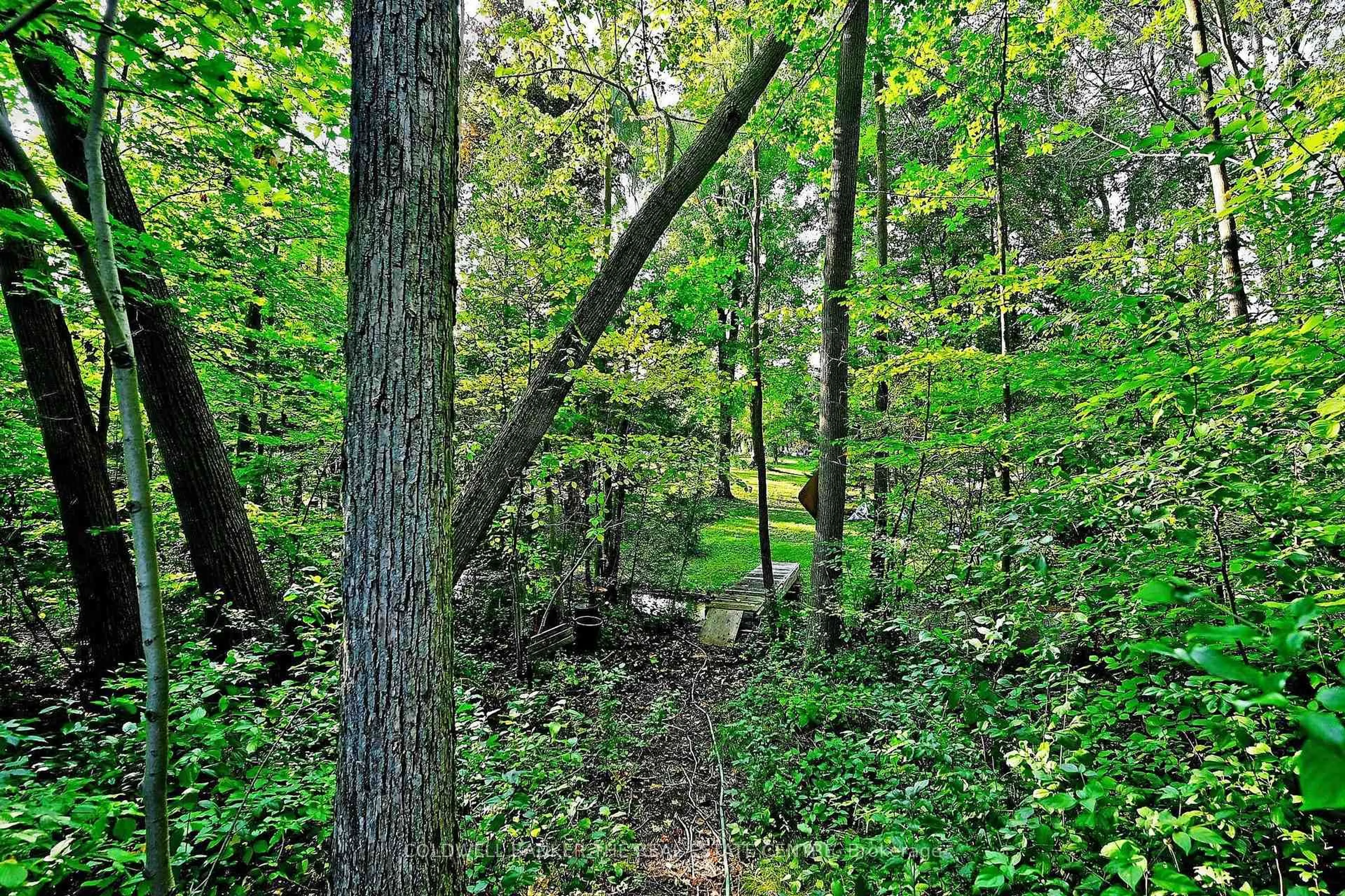 Patio, forest/trees view for 20805 Brock Rd, Brock Ontario L0E 1E0