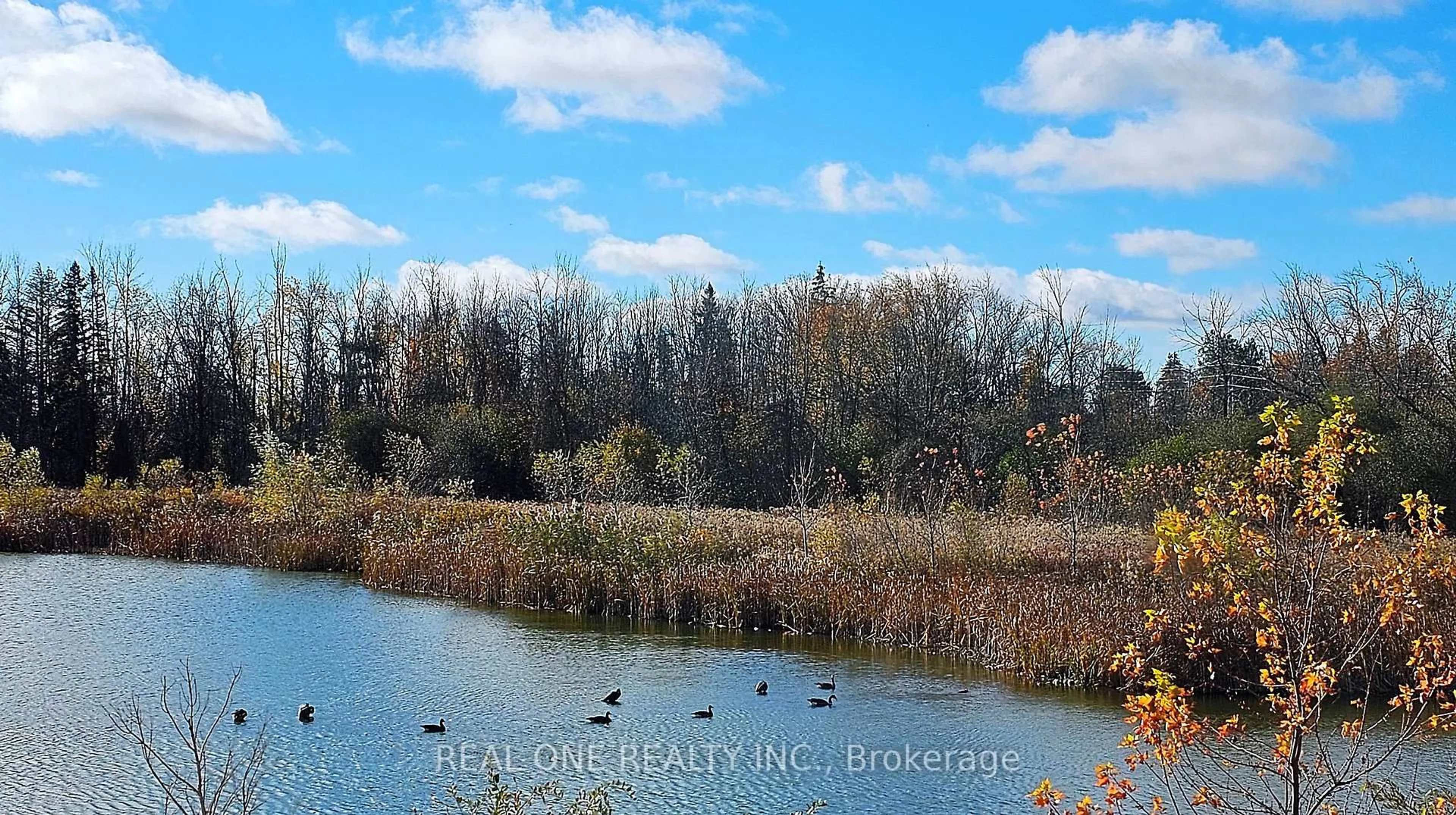 Blurry image for 85 Riley Reed Lane, Richmond Hill Ontario L4S 0M3