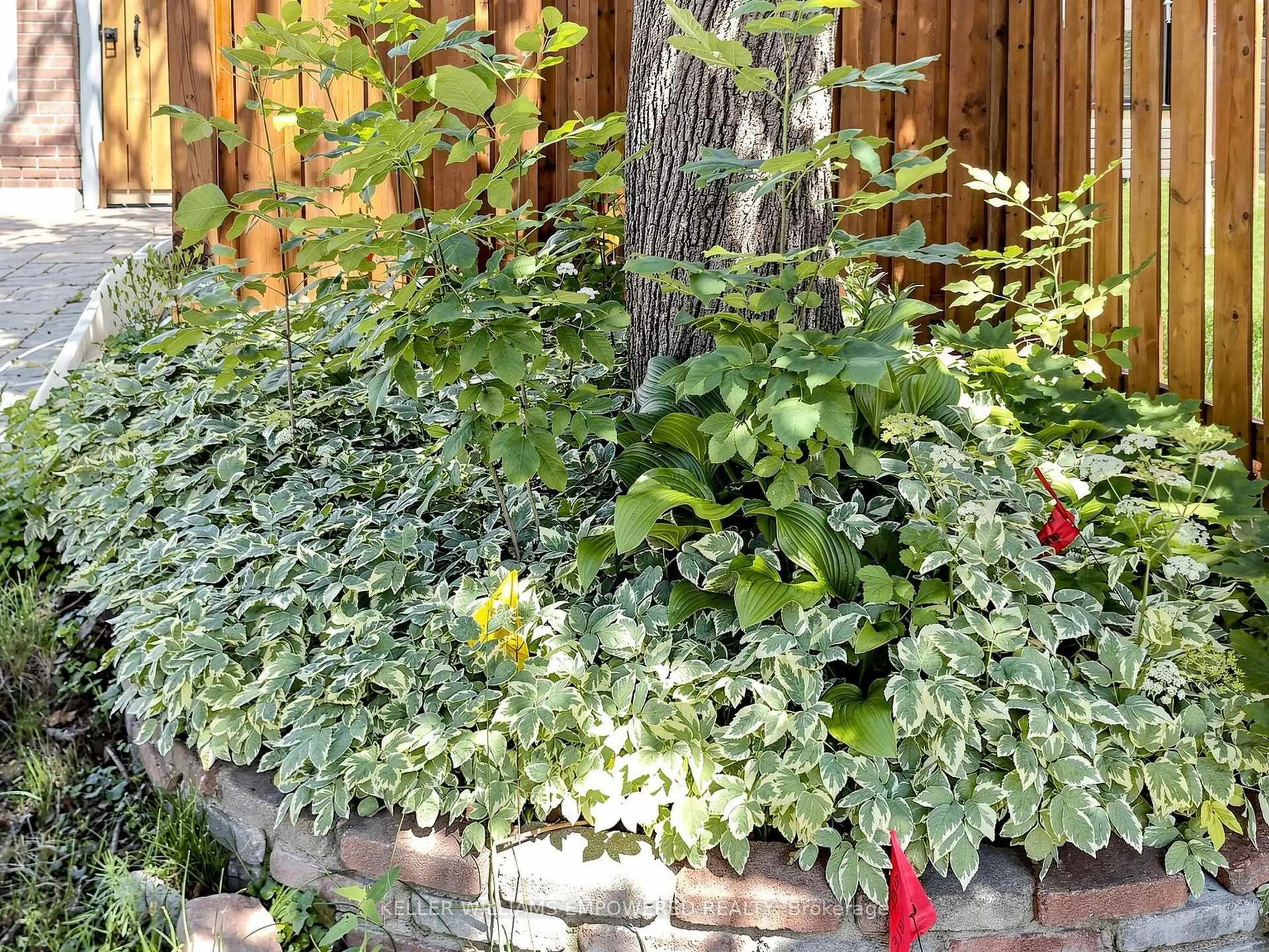 Patio, street for 200 Castle Rock Dr, Richmond Hill Ontario L4C 5H7