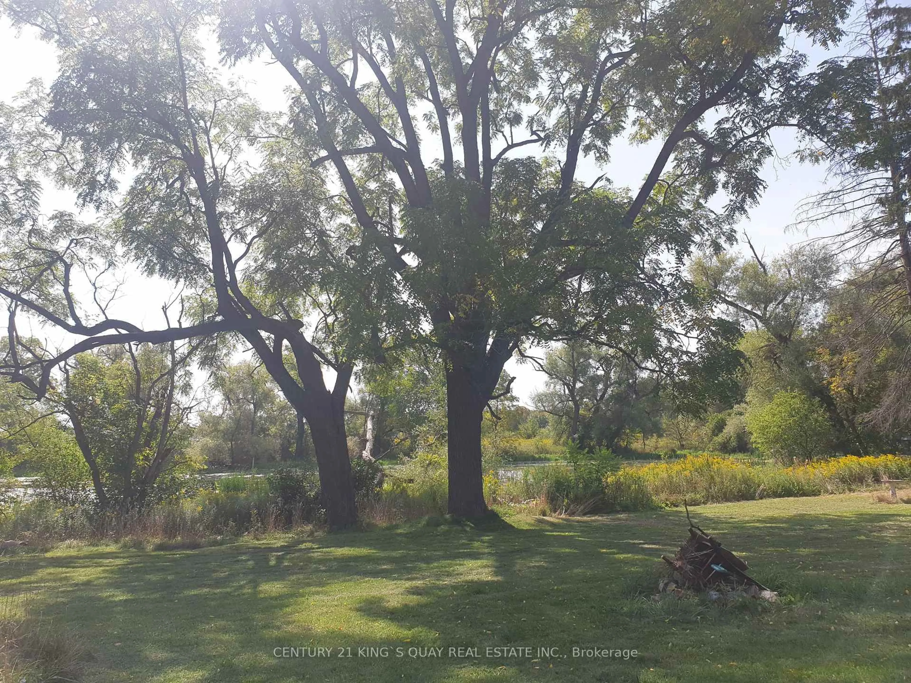 A pic from outside/outdoor area/front of a property/back of a property/a pic from drone, forest/trees view for 3985 Stouffville Rd, Whitchurch-Stouffville Ontario L4A 7X5