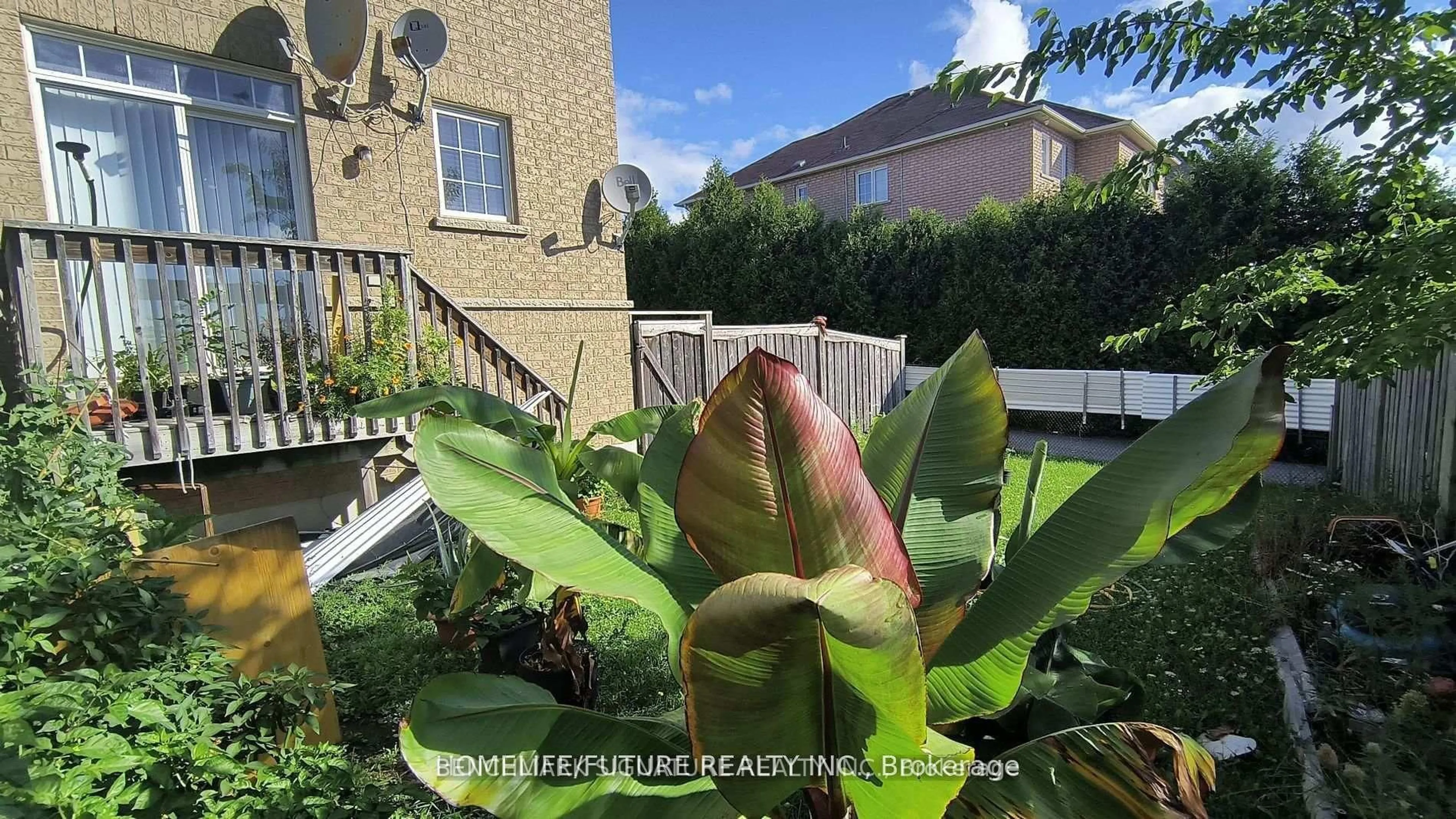 A pic from outside/outdoor area/front of a property/back of a property/a pic from drone, street for 315 Elson St, Markham Ontario L3S 4S4