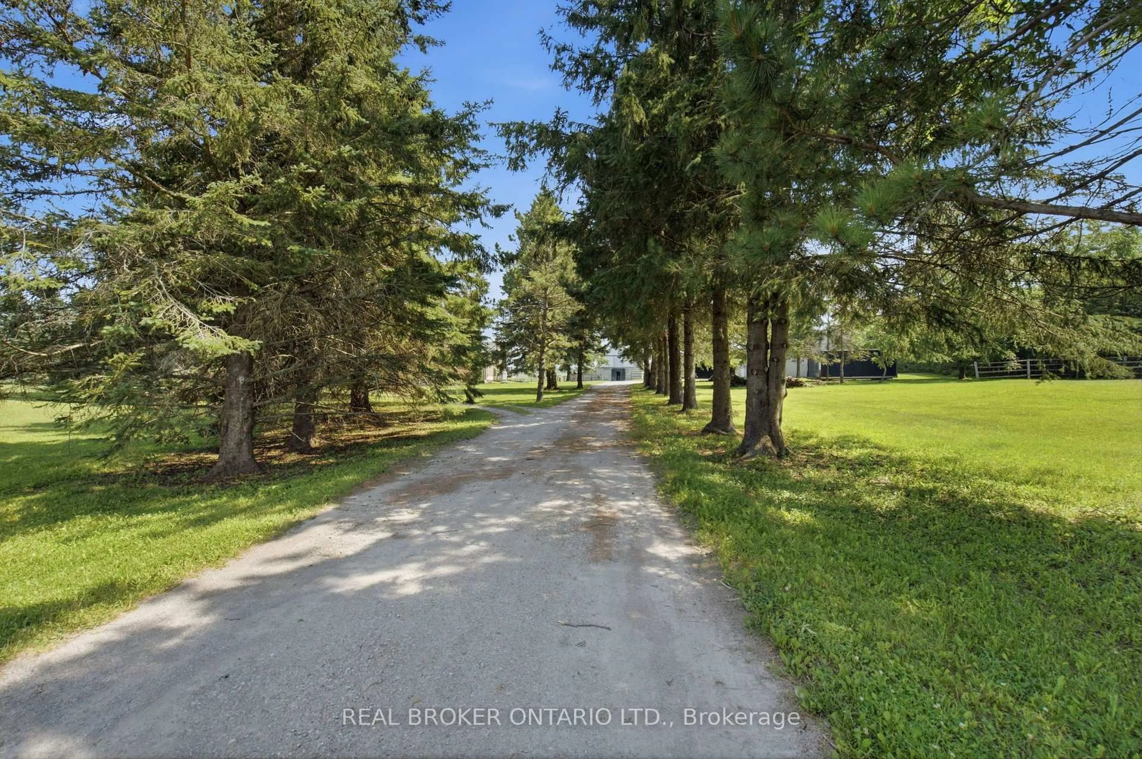 A pic from outside/outdoor area/front of a property/back of a property/a pic from drone, forest/trees view for 785 Reid Rd, Uxbridge Ontario L9P 1R4