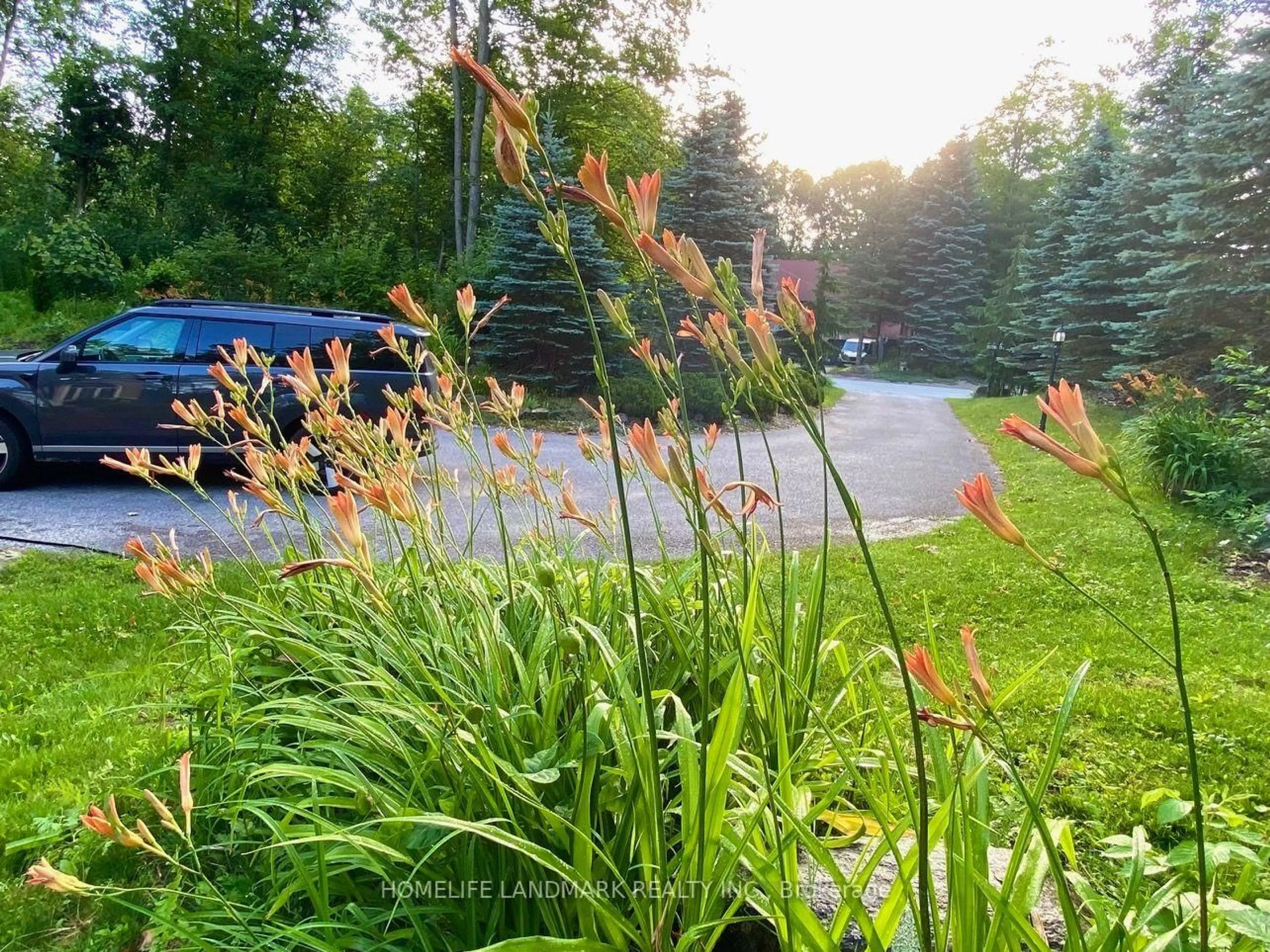 A pic from outside/outdoor area/front of a property/back of a property/a pic from drone, street for 1976 Forest Valley Dr, Innisfil Ontario L9S 4A5