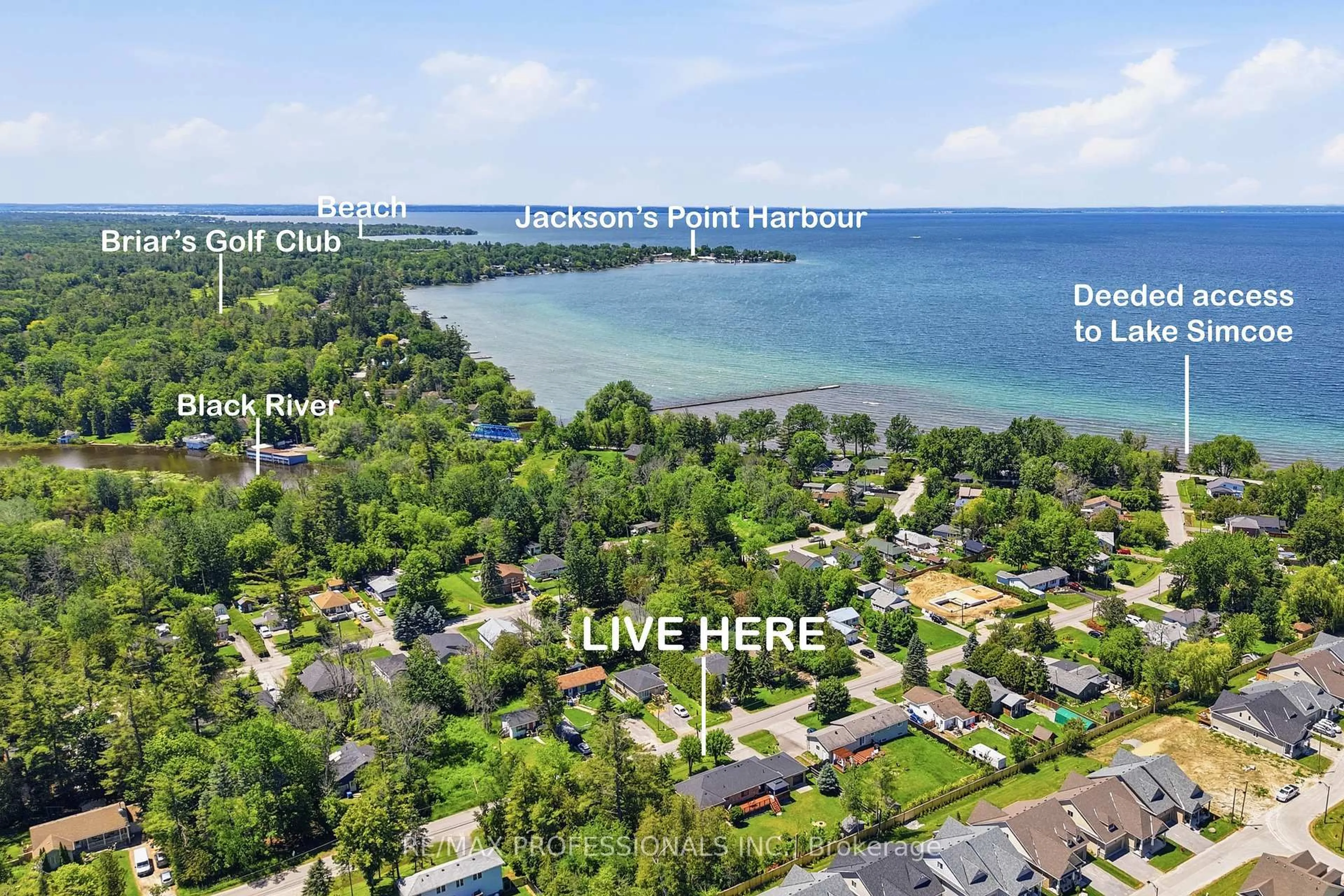 A pic from outside/outdoor area/front of a property/back of a property/a pic from drone, water/lake/river/ocean view for 101 Maple Ave, Georgina Ontario L0E 1R0
