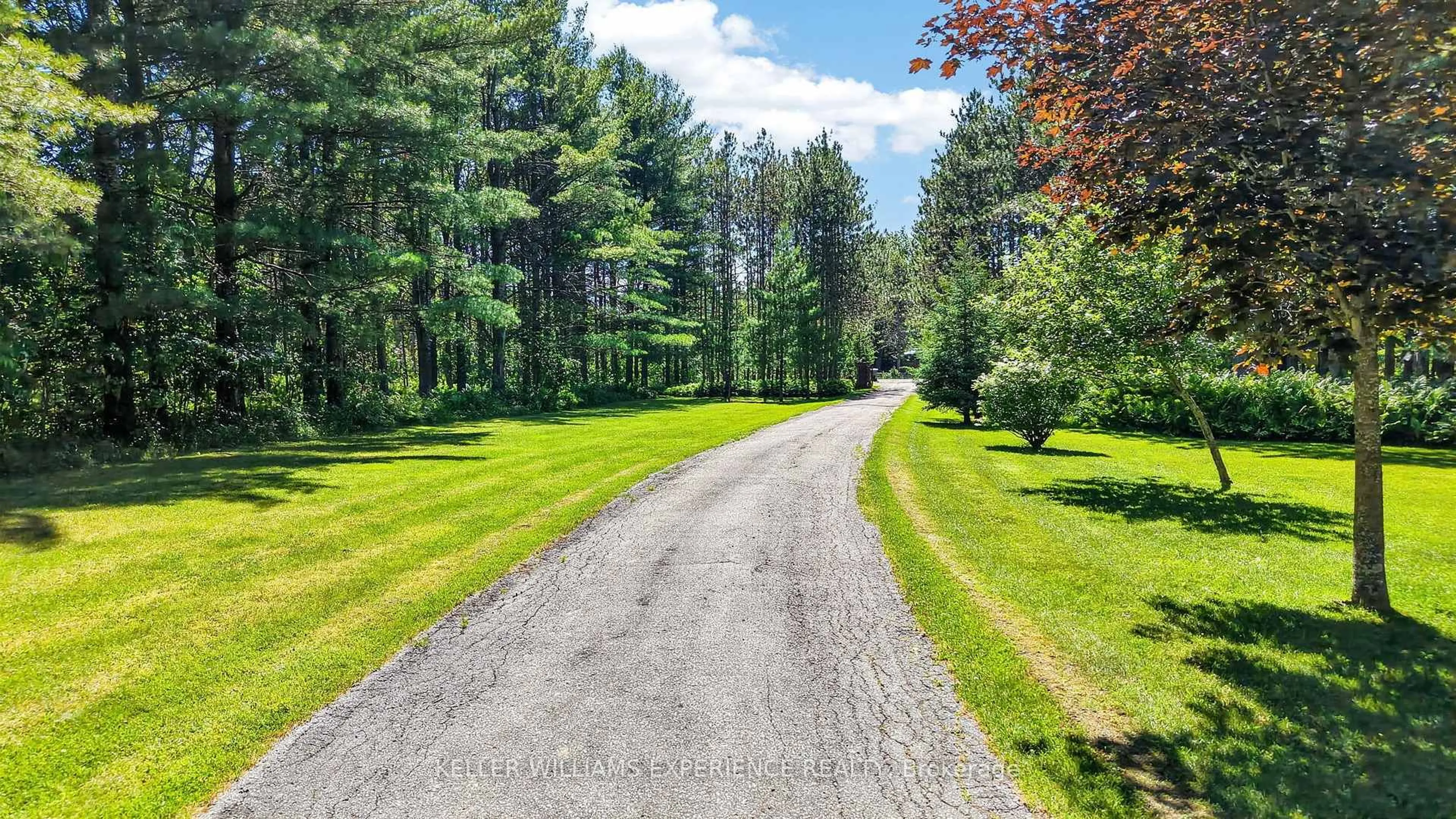 A pic from outside/outdoor area/front of a property/back of a property/a pic from drone, forest/trees view for 7831 5th Line, Essa Ontario L3W 0S7