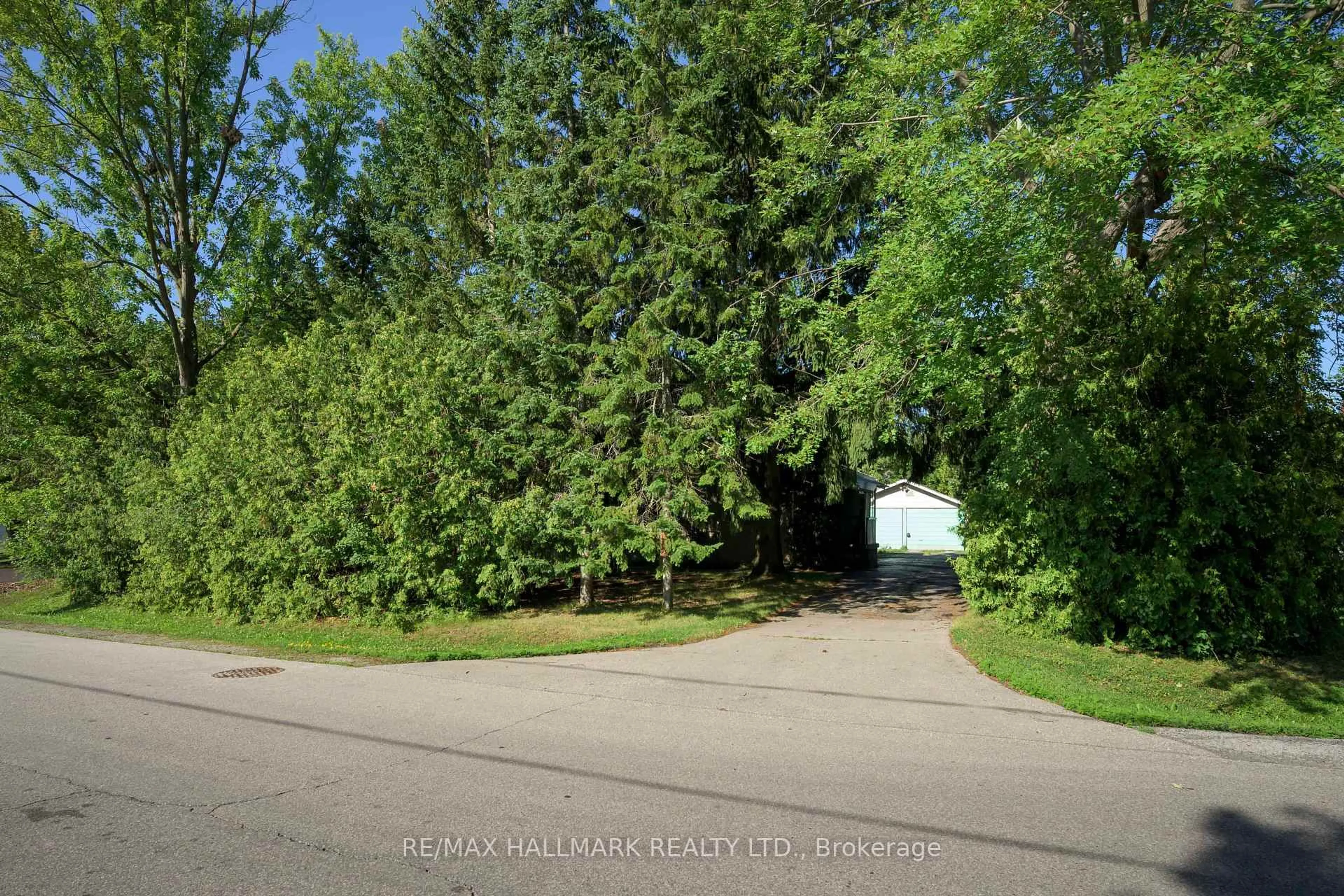 A pic from outside/outdoor area/front of a property/back of a property/a pic from drone, forest/trees view for 4 Crestview Rd, King Ontario L0G 1N0