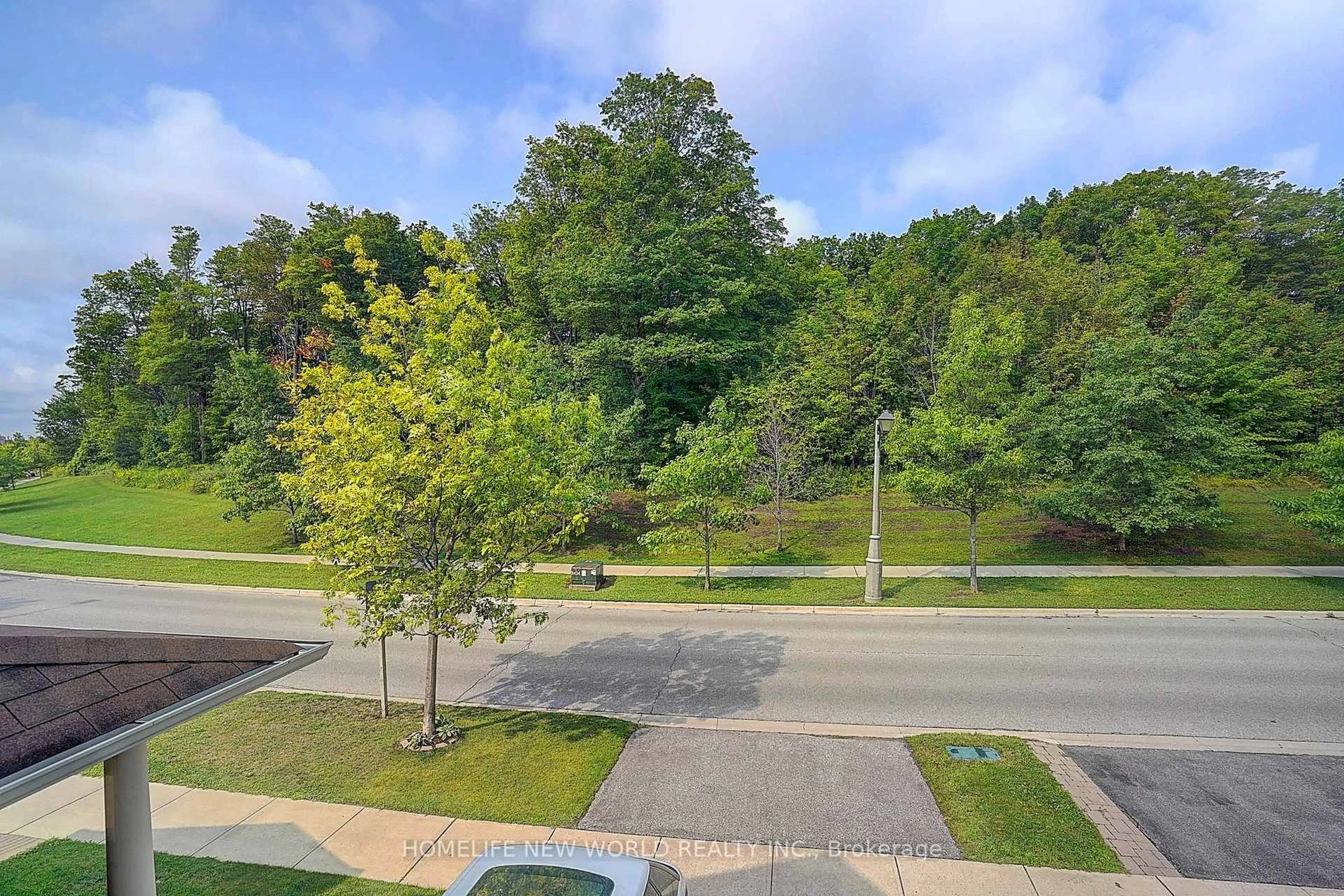 A pic from outside/outdoor area/front of a property/back of a property/a pic from drone, forest/trees view for 160 Ken Laushway Ave, Whitchurch-Stouffville Ontario L4A 0S9