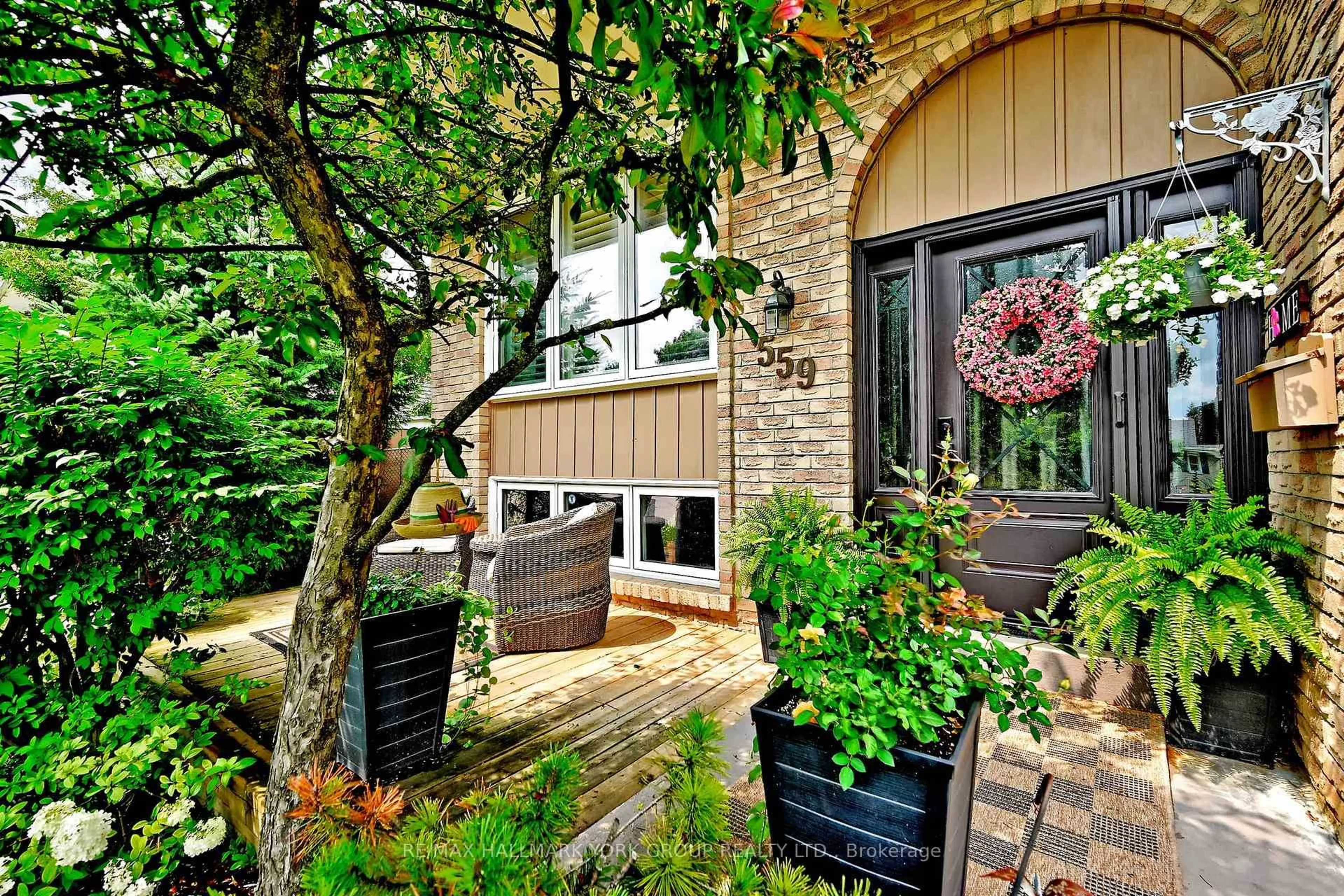 Patio, street for 559 Haines Rd, Newmarket Ontario L3Y 6V4