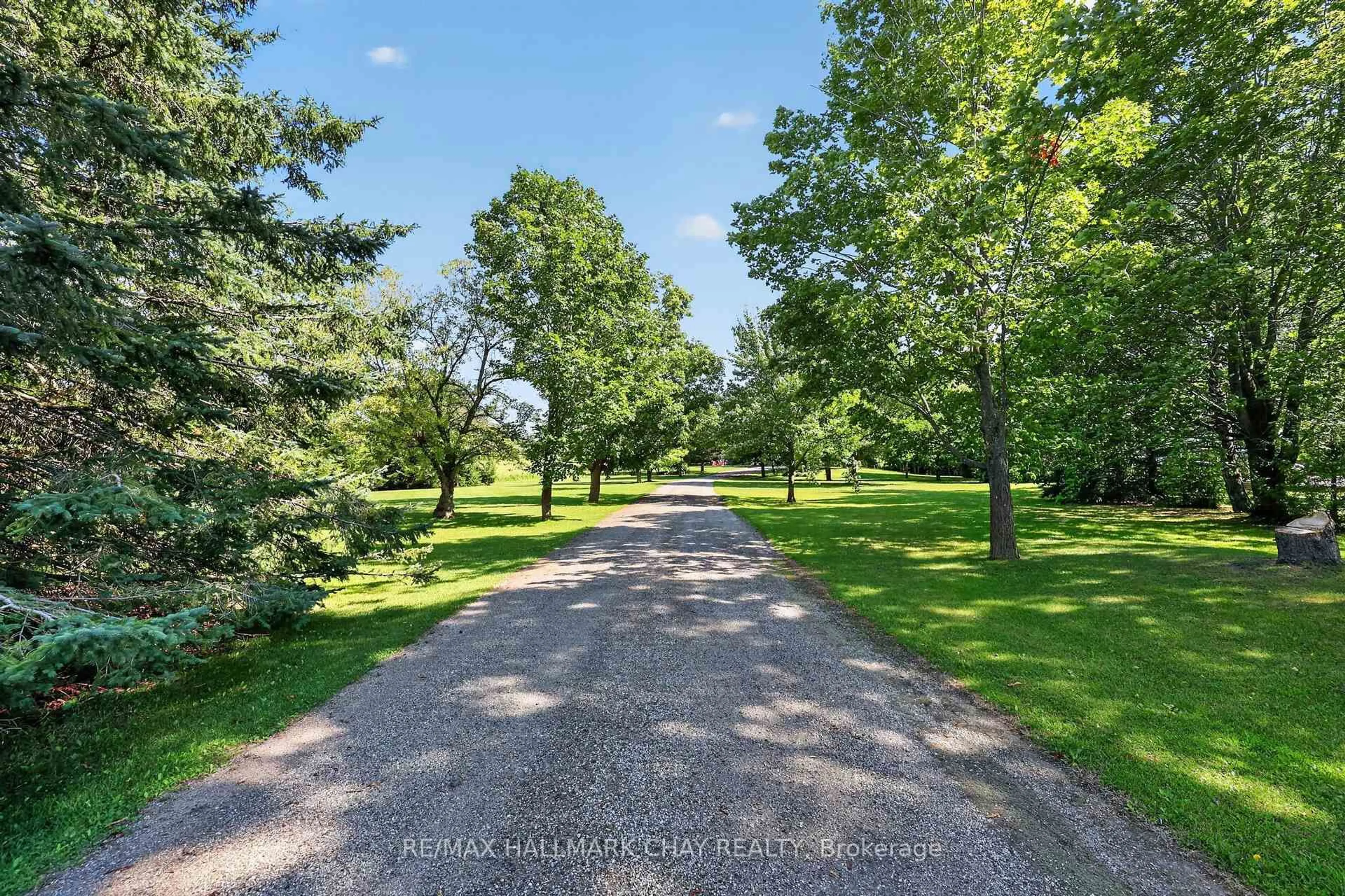 A pic from outside/outdoor area/front of a property/back of a property/a pic from drone, forest/trees view for 5971 3rd Line, New Tecumseth Ontario L0G 1W0