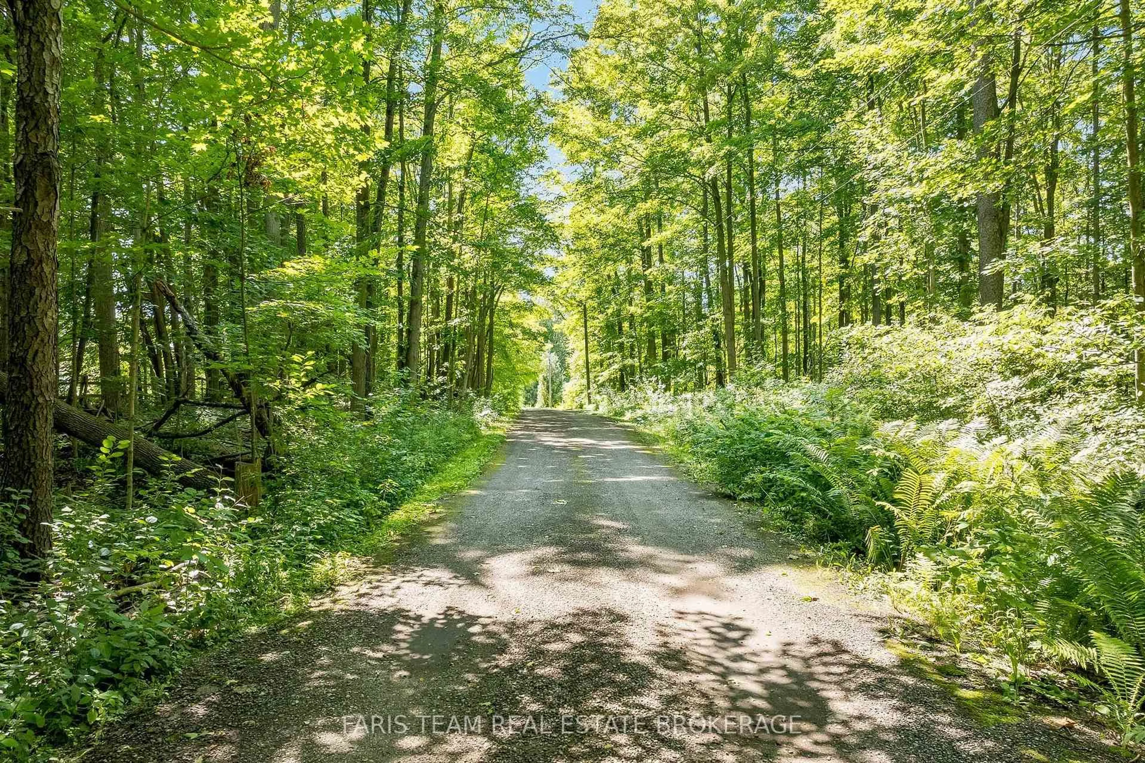 Patio, forest/trees view for 17956 Warden Ave, East Gwillimbury Ontario L0G 1V0