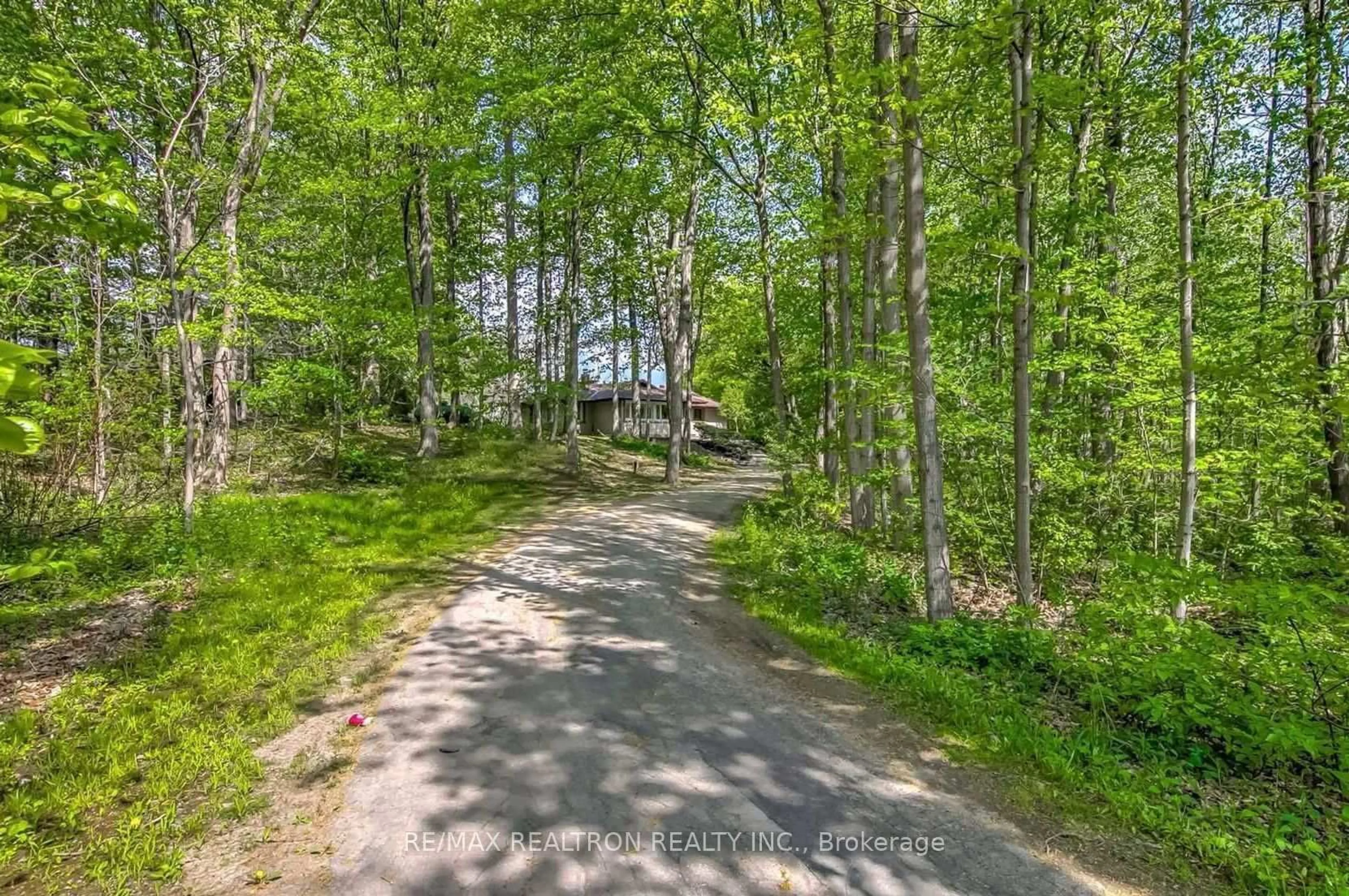 A pic from outside/outdoor area/front of a property/back of a property/a pic from drone, forest/trees view for 9563 Warden Ave, Markham Ontario L6C 1M5