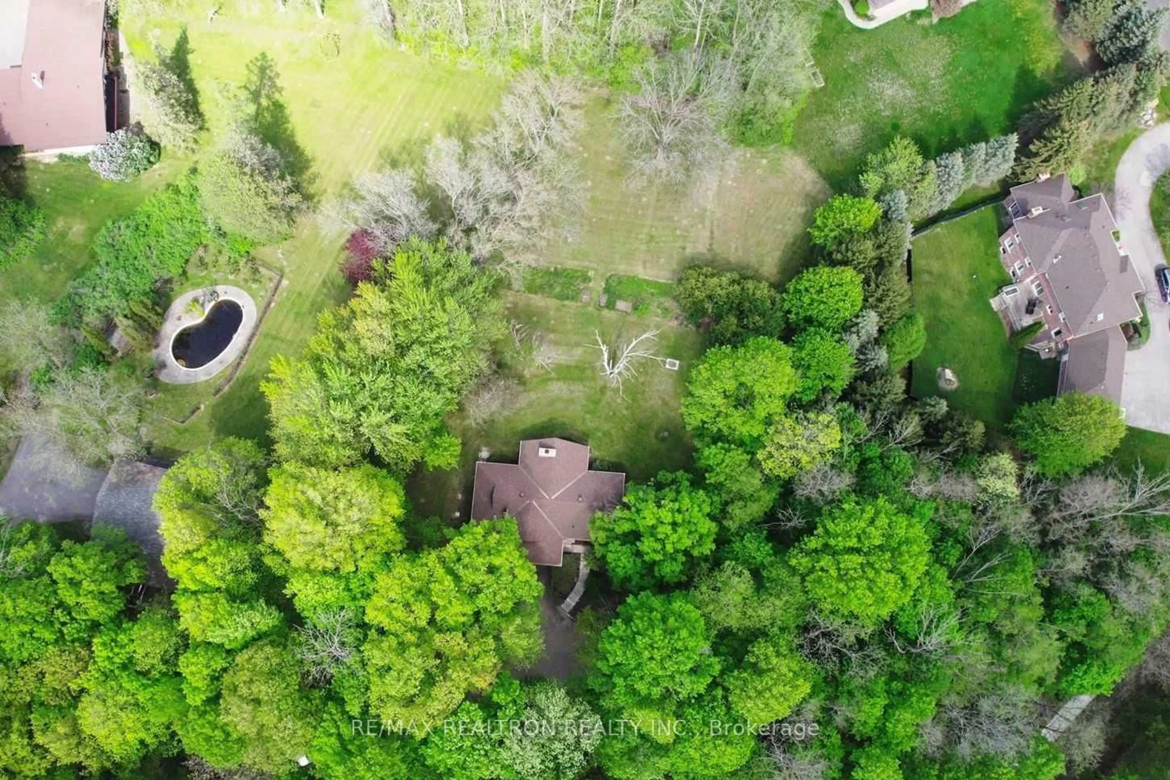 A pic from outside/outdoor area/front of a property/back of a property/a pic from drone, forest/trees view for 9563 Warden Ave, Markham Ontario L6C 1M5