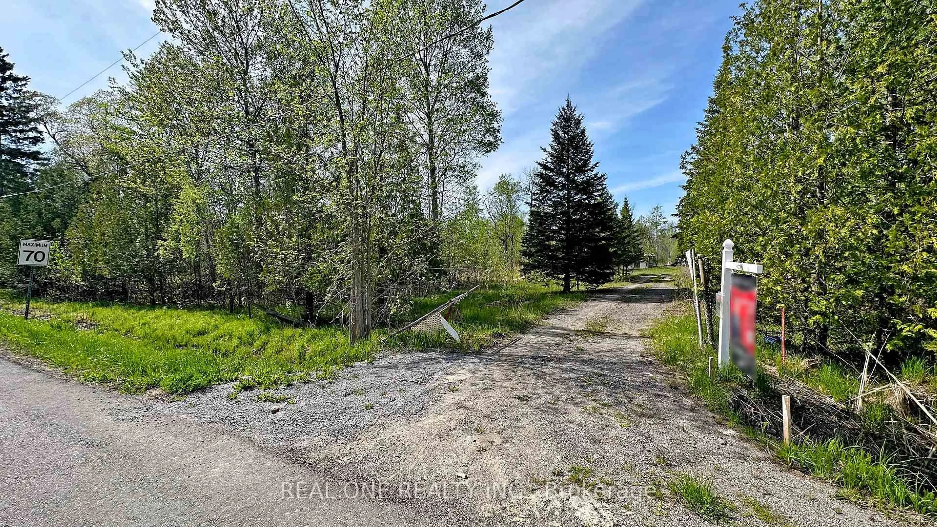 A pic from outside/outdoor area/front of a property/back of a property/a pic from drone, forest/trees view for 4778 Holborn Rd, East Gwillimbury Ontario L0G 1N0