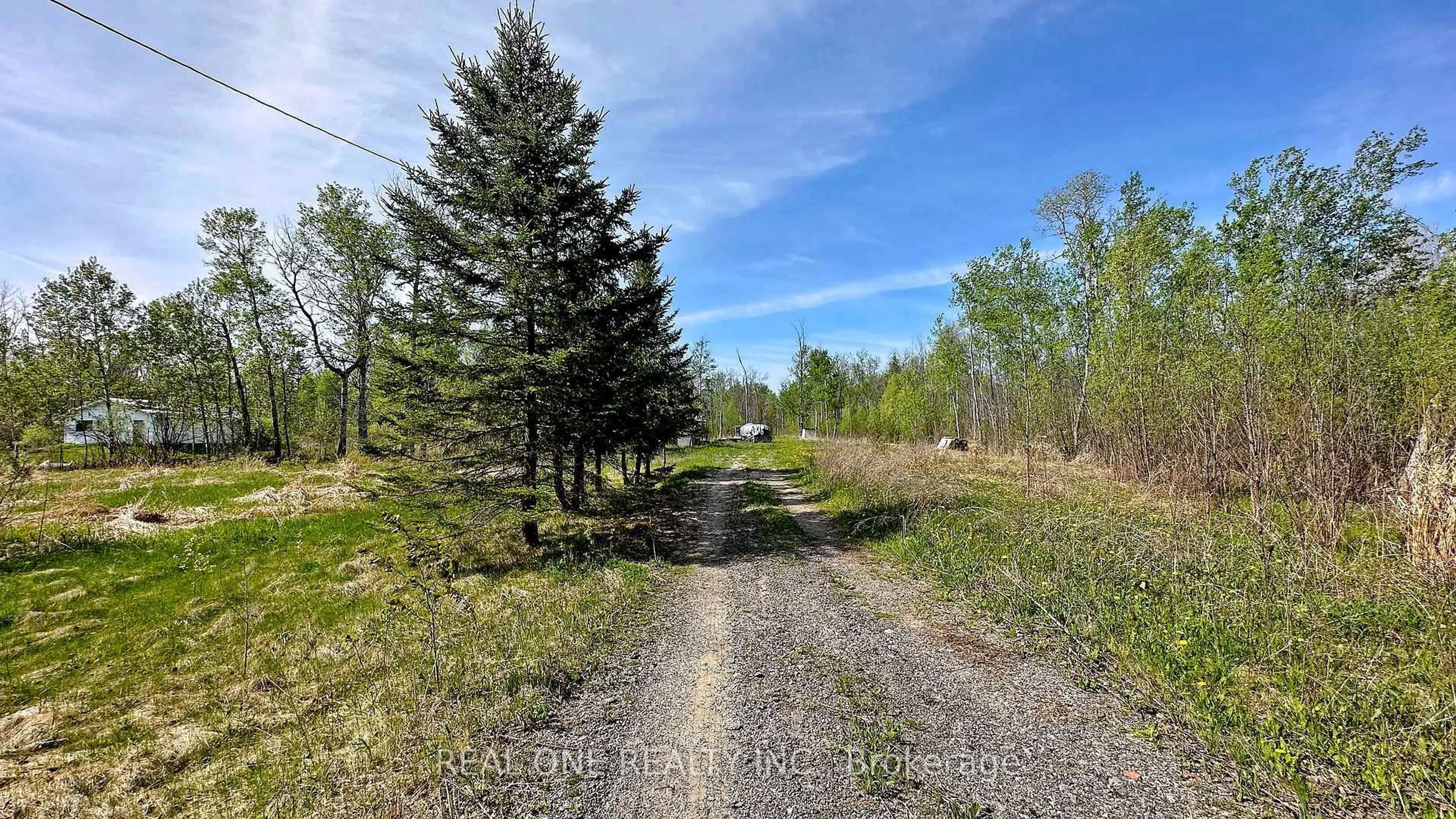 A pic from outside/outdoor area/front of a property/back of a property/a pic from drone, forest/trees view for 4778 Holborn Rd, East Gwillimbury Ontario L0G 1N0