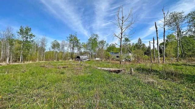 4778 Holborn Rd, East Gwillimbury 3