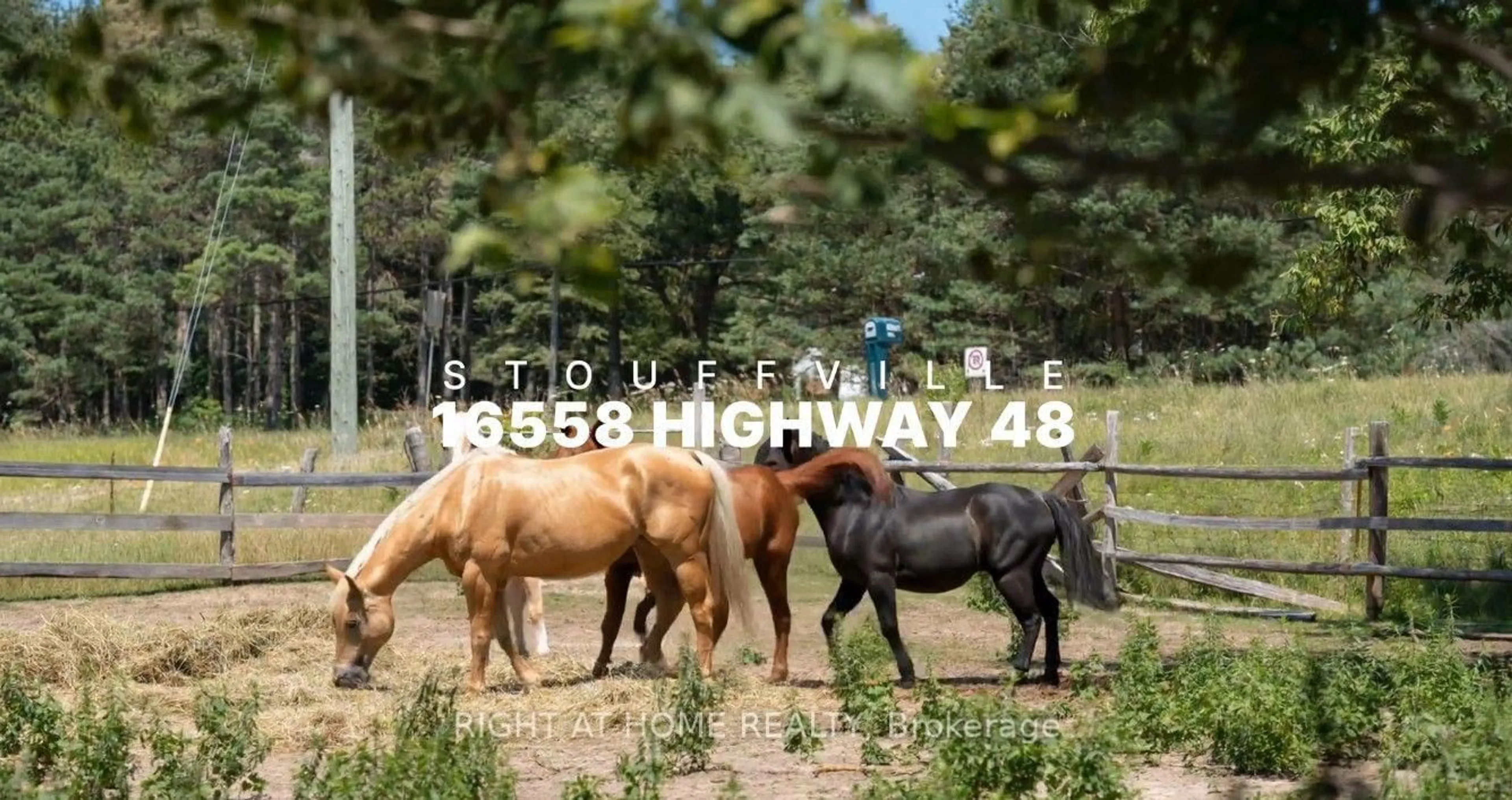 Blurry image for 16558 Highway 48, Whitchurch-Stouffville Ontario L4A 7X4