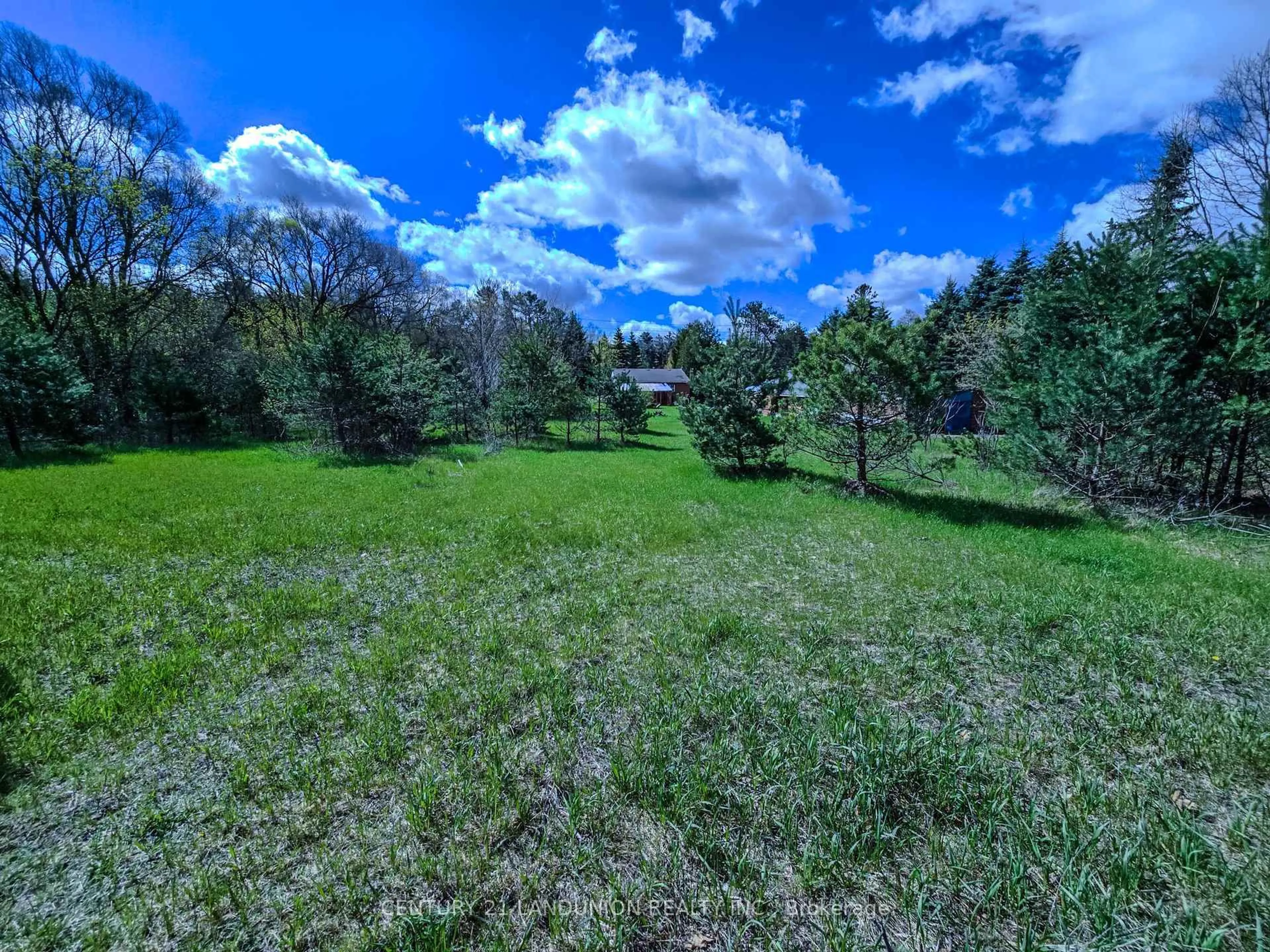 A pic from outside/outdoor area/front of a property/back of a property/a pic from drone, forest/trees view for 4192 Vivian Rd, Whitchurch-Stouffville Ontario L0G 1E0