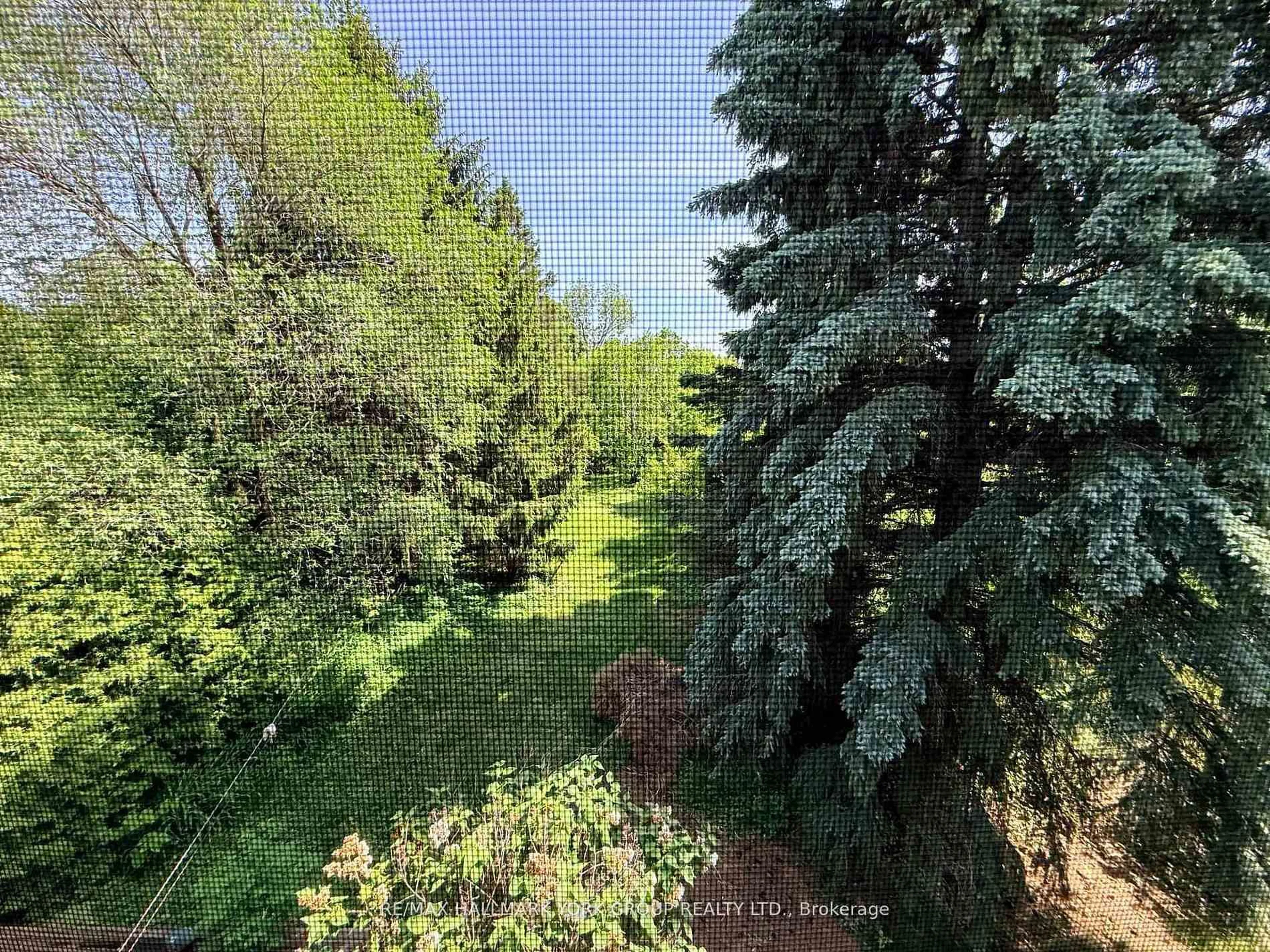 A pic from outside/outdoor area/front of a property/back of a property/a pic from drone, forest/trees view for 75 Spruce Ave, Richmond Hill Ontario L4C 6V9