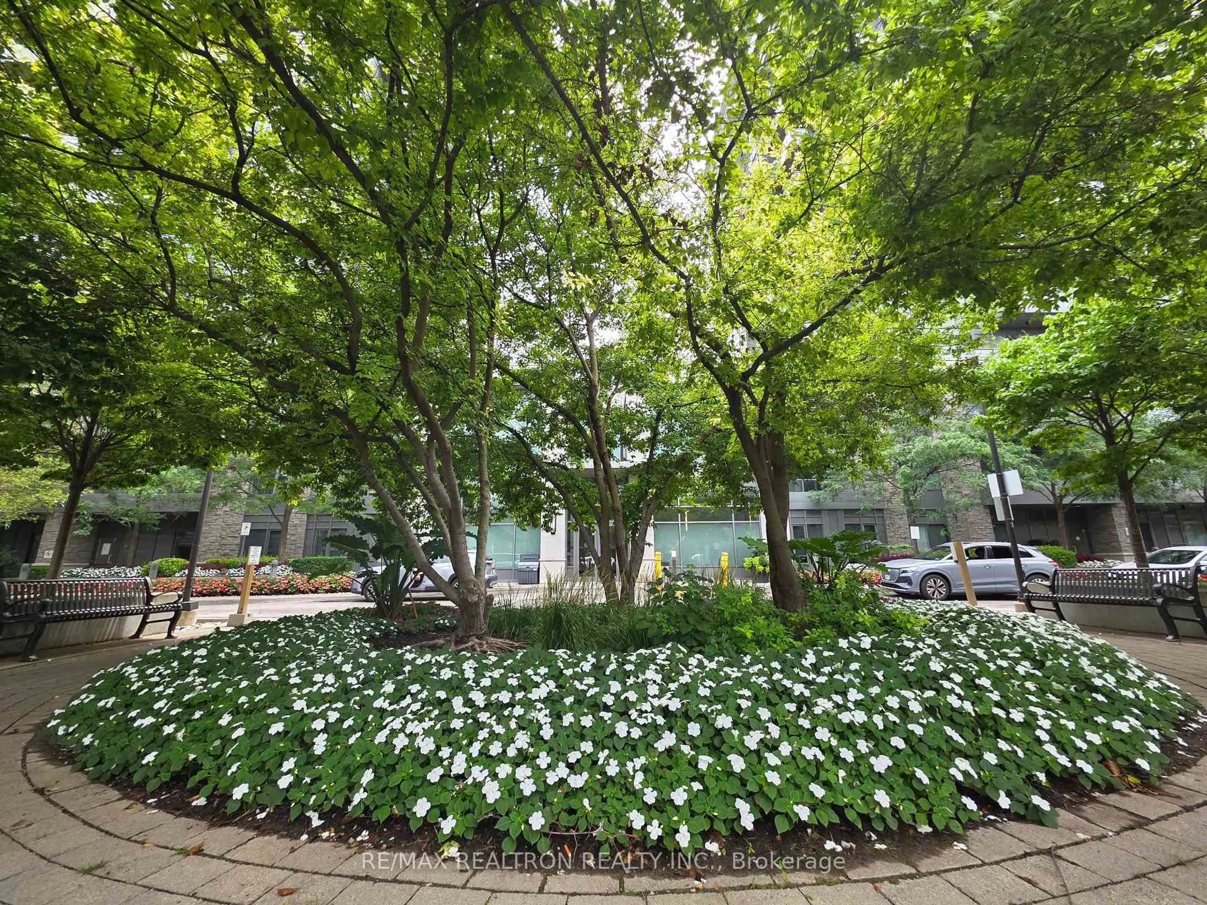 Patio, forest/trees view for 325 South Park Rd #603, Markham Ontario L3T 0B8
