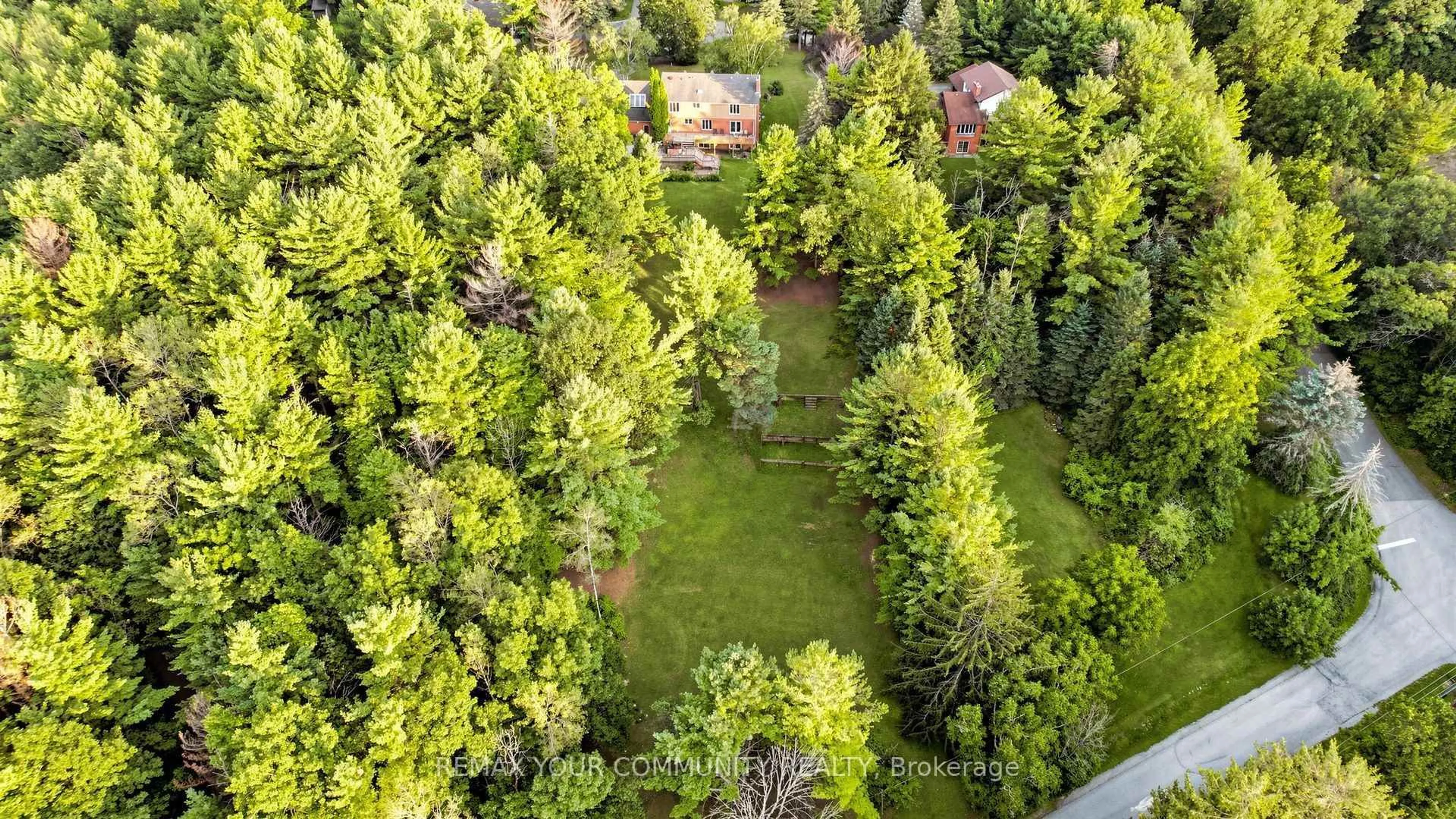 A pic from outside/outdoor area/front of a property/back of a property/a pic from drone, forest/trees view for 243 Ridge Rd, Aurora Ontario L4G 0M3