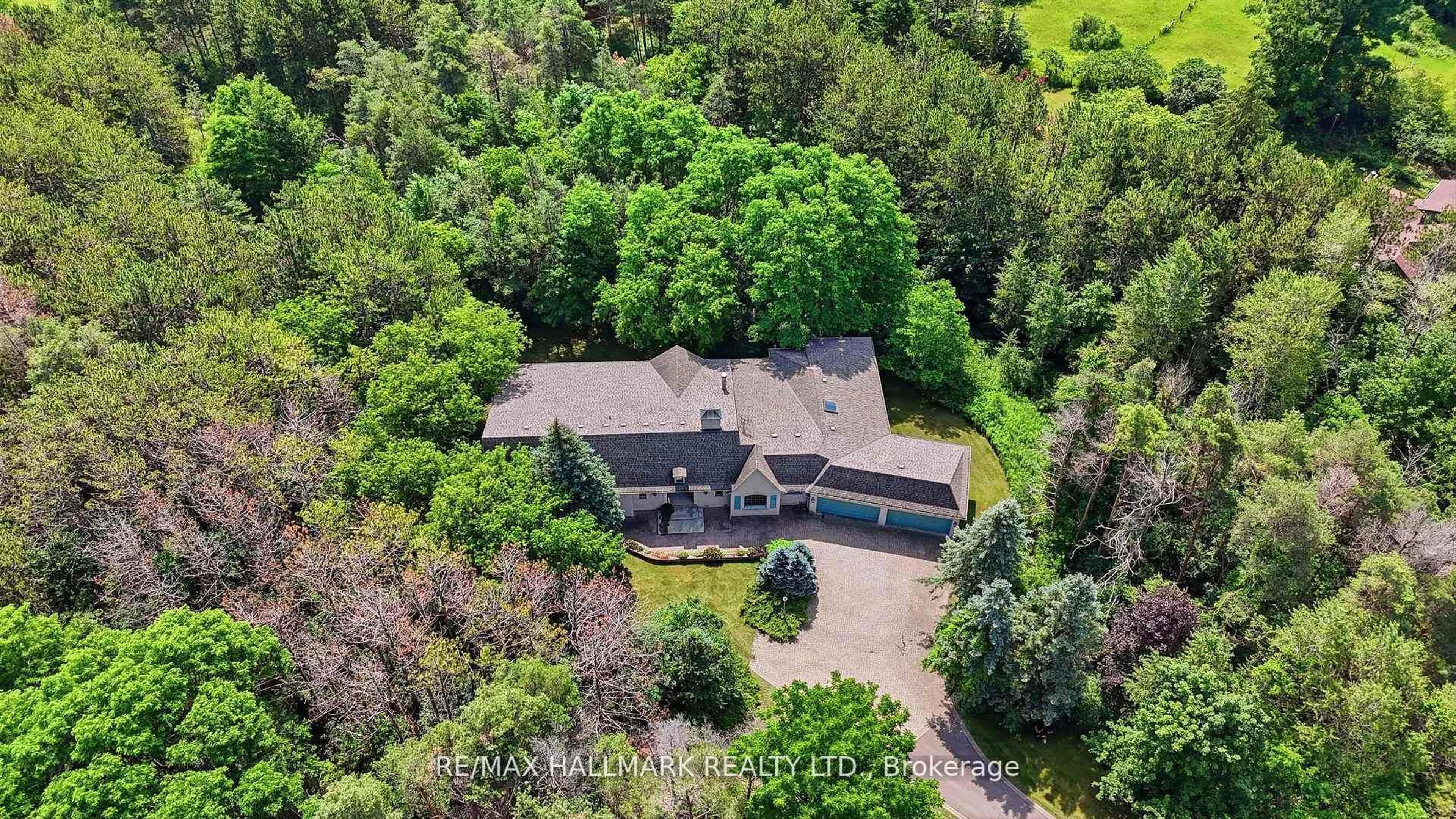 A pic from outside/outdoor area/front of a property/back of a property/a pic from drone, forest/trees view for 18381 McCowan Rd, East Gwillimbury Ontario L0G 1M0