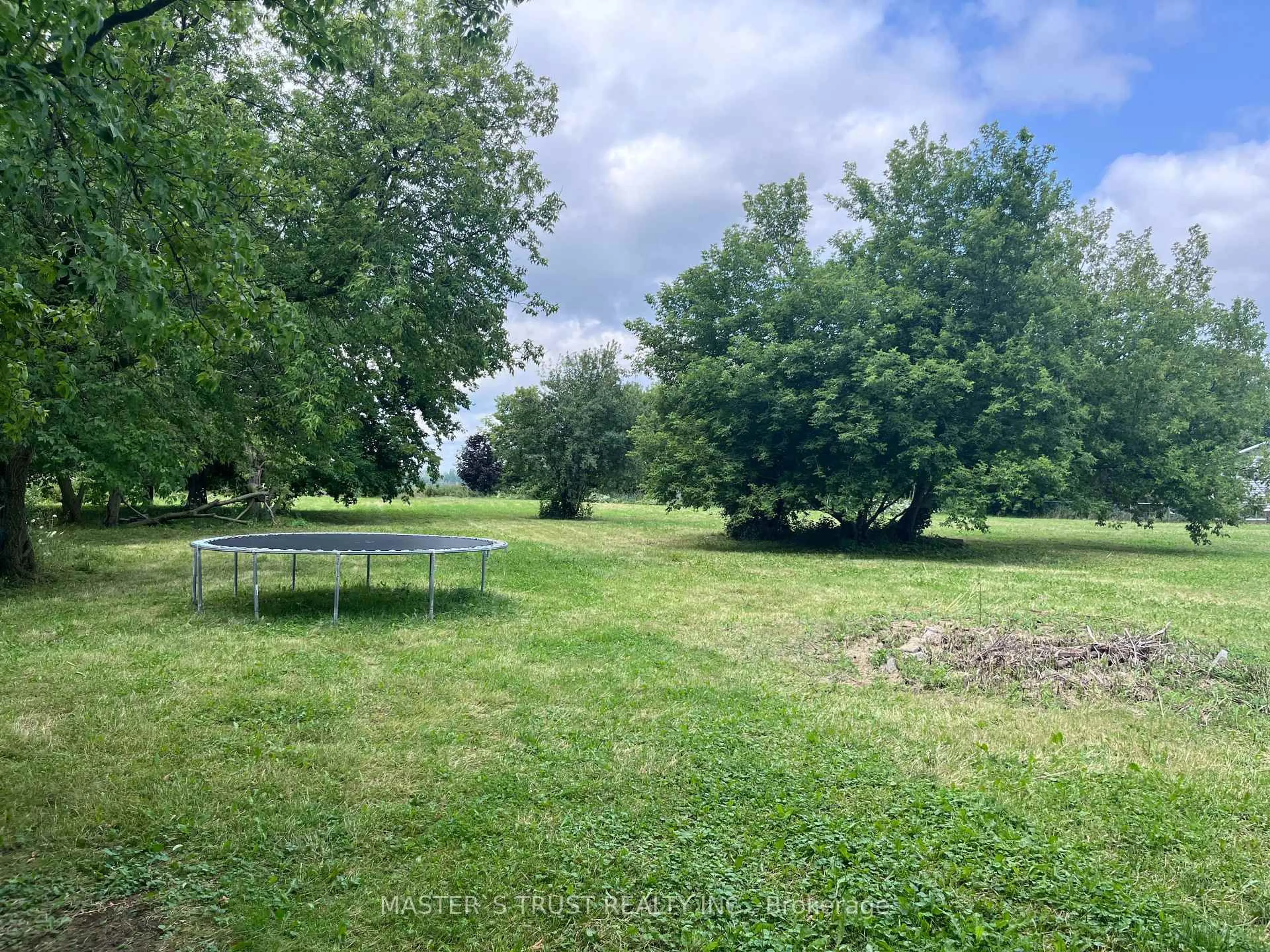 A pic from outside/outdoor area/front of a property/back of a property/a pic from drone, forest/trees view for 22156 Leslie St, East Gwillimbury Ontario L0G 1R0