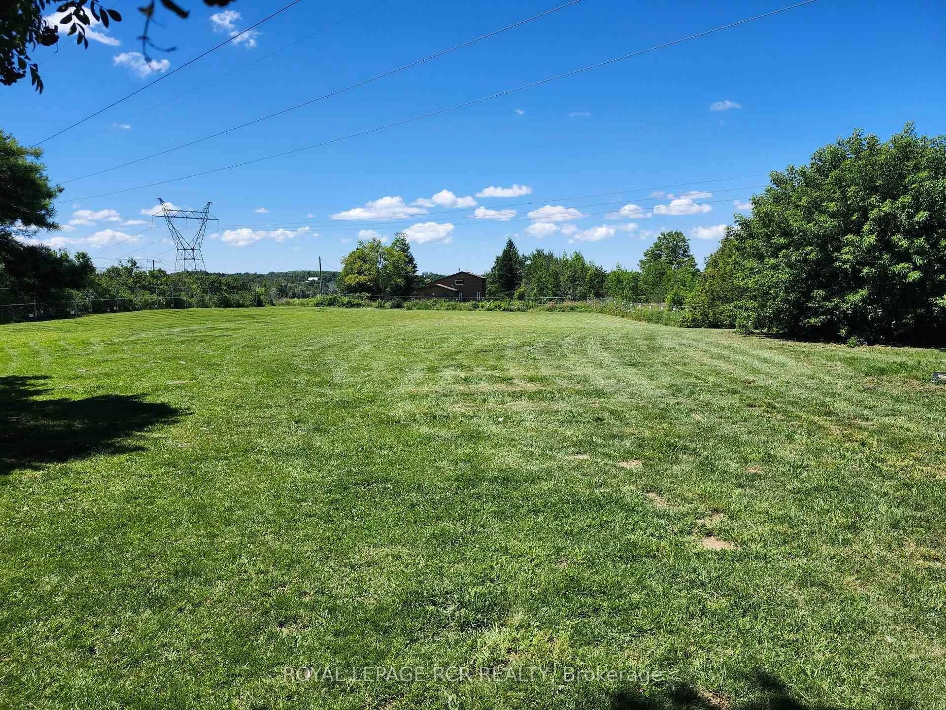 A pic from outside/outdoor area/front of a property/back of a property/a pic from drone, forest/trees view for 4044 Ravenshoe Rd, Georgina Ontario L0E 1R0